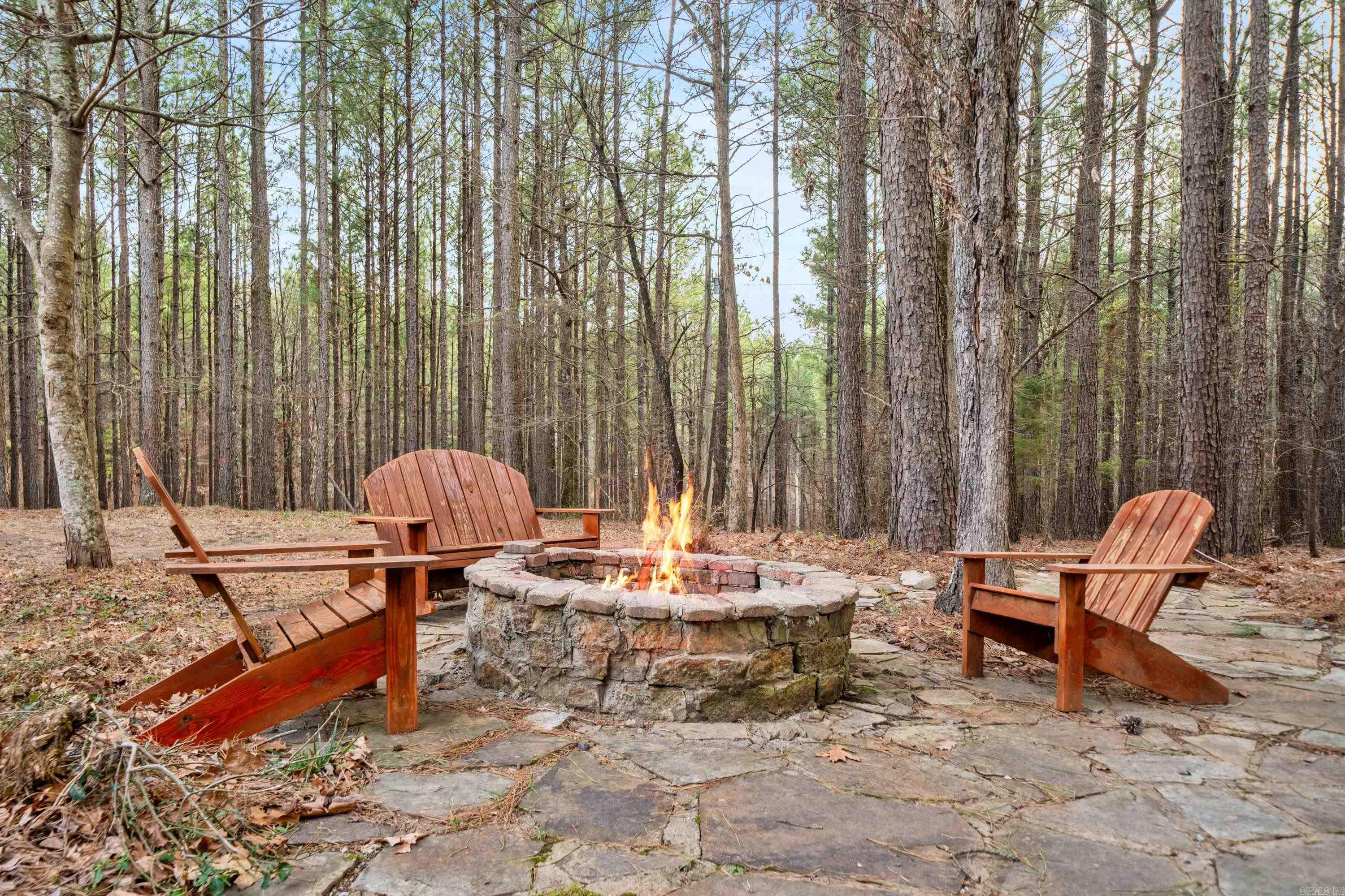 89  Woodland Springs  Mount Ida, AR