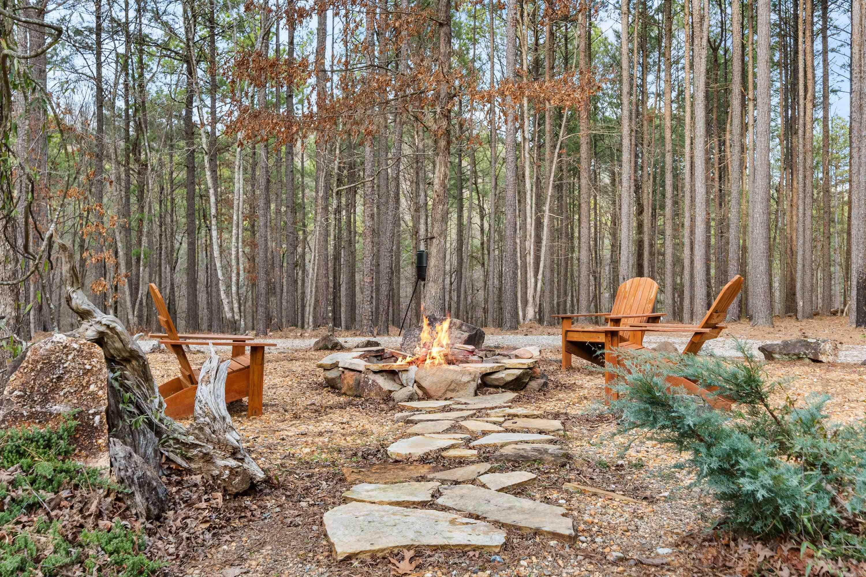 89  Woodland Springs  Mount Ida, AR