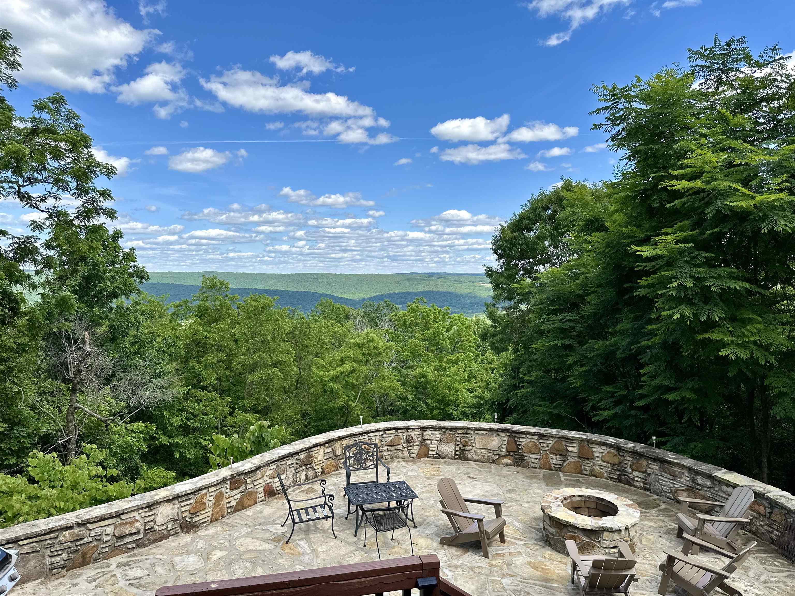 370  Black Bear Bluff  Mountain View, AR