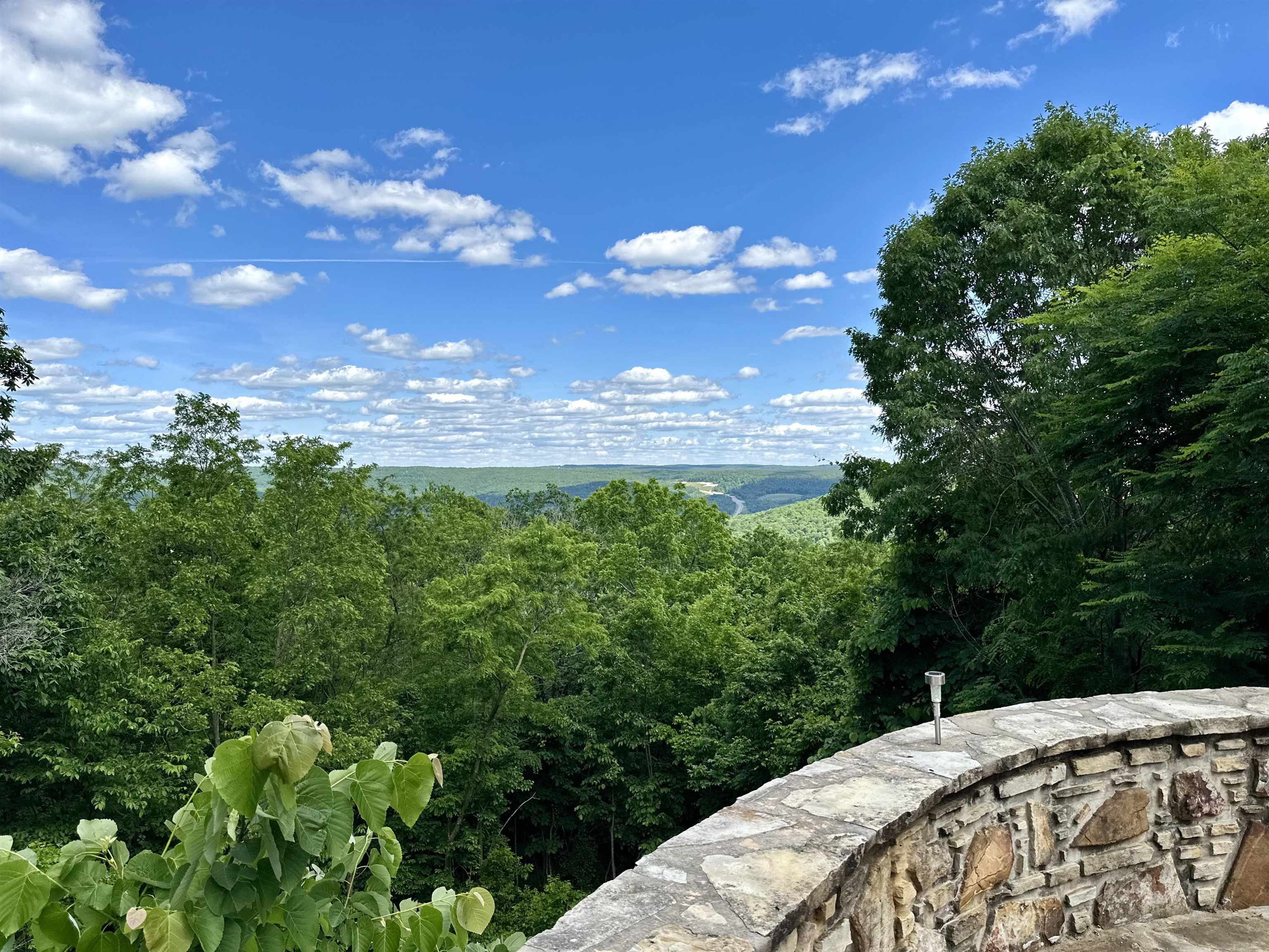 370  Black Bear Bluff  Mountain View, AR