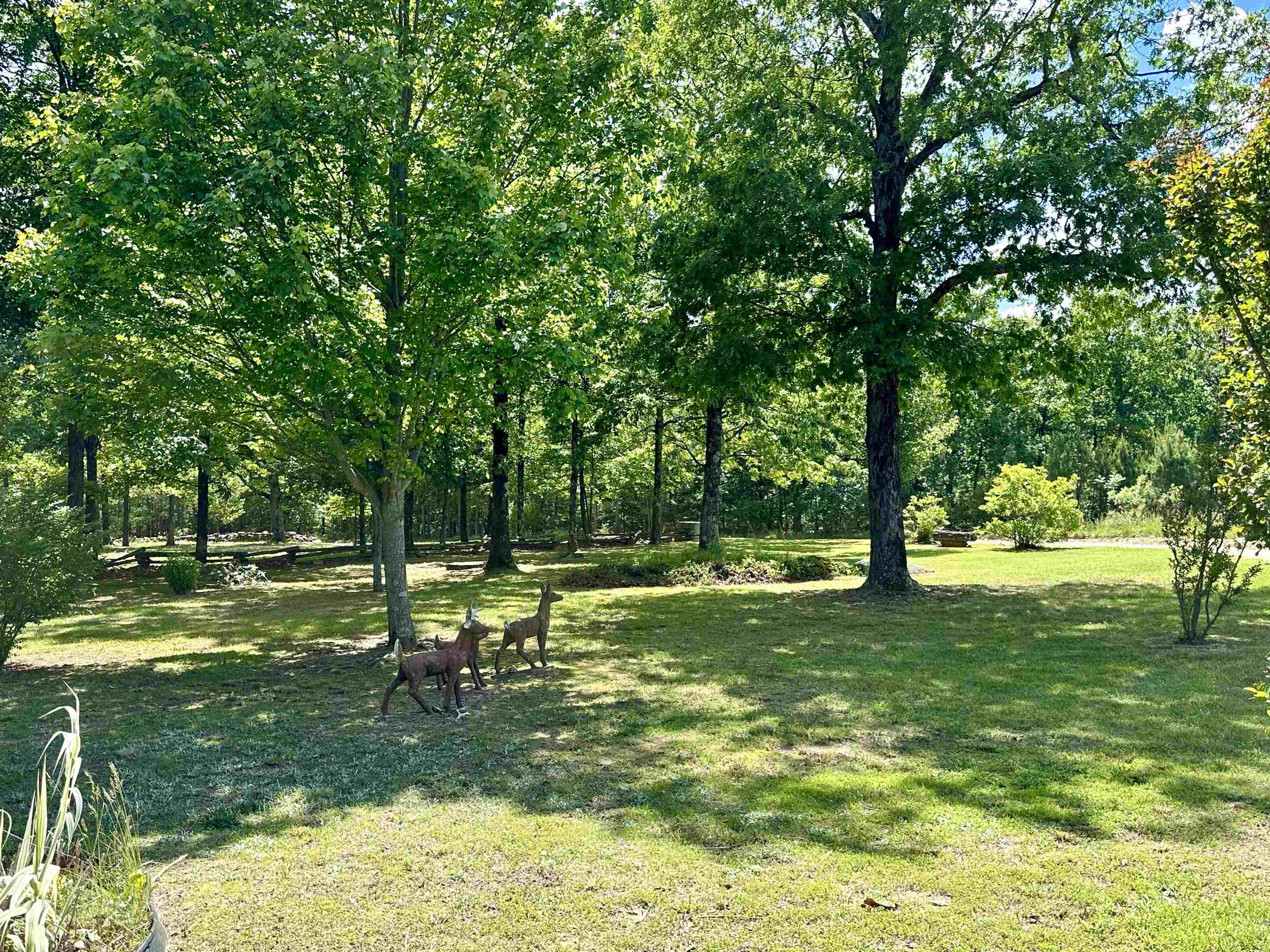 370  Black Bear Bluff  Mountain View, AR