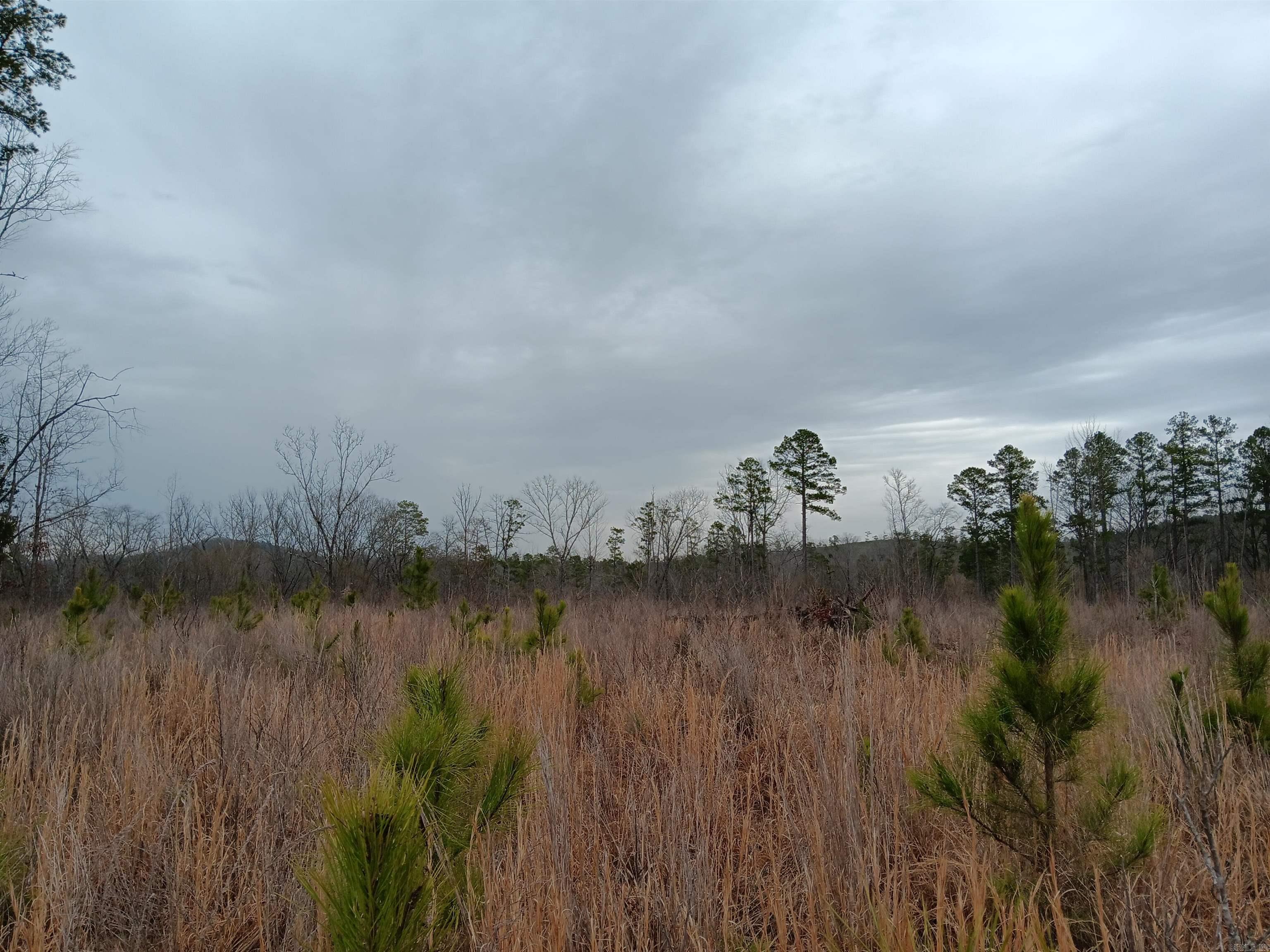 16327  Slade Road  Paron, AR