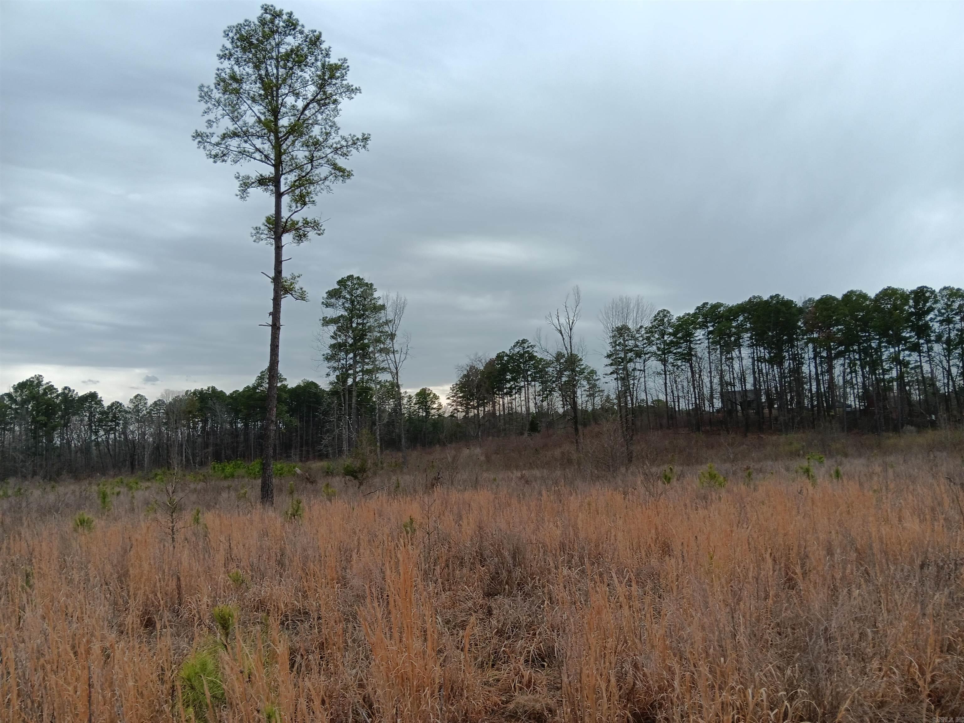 16327  Slade Road  Paron, AR