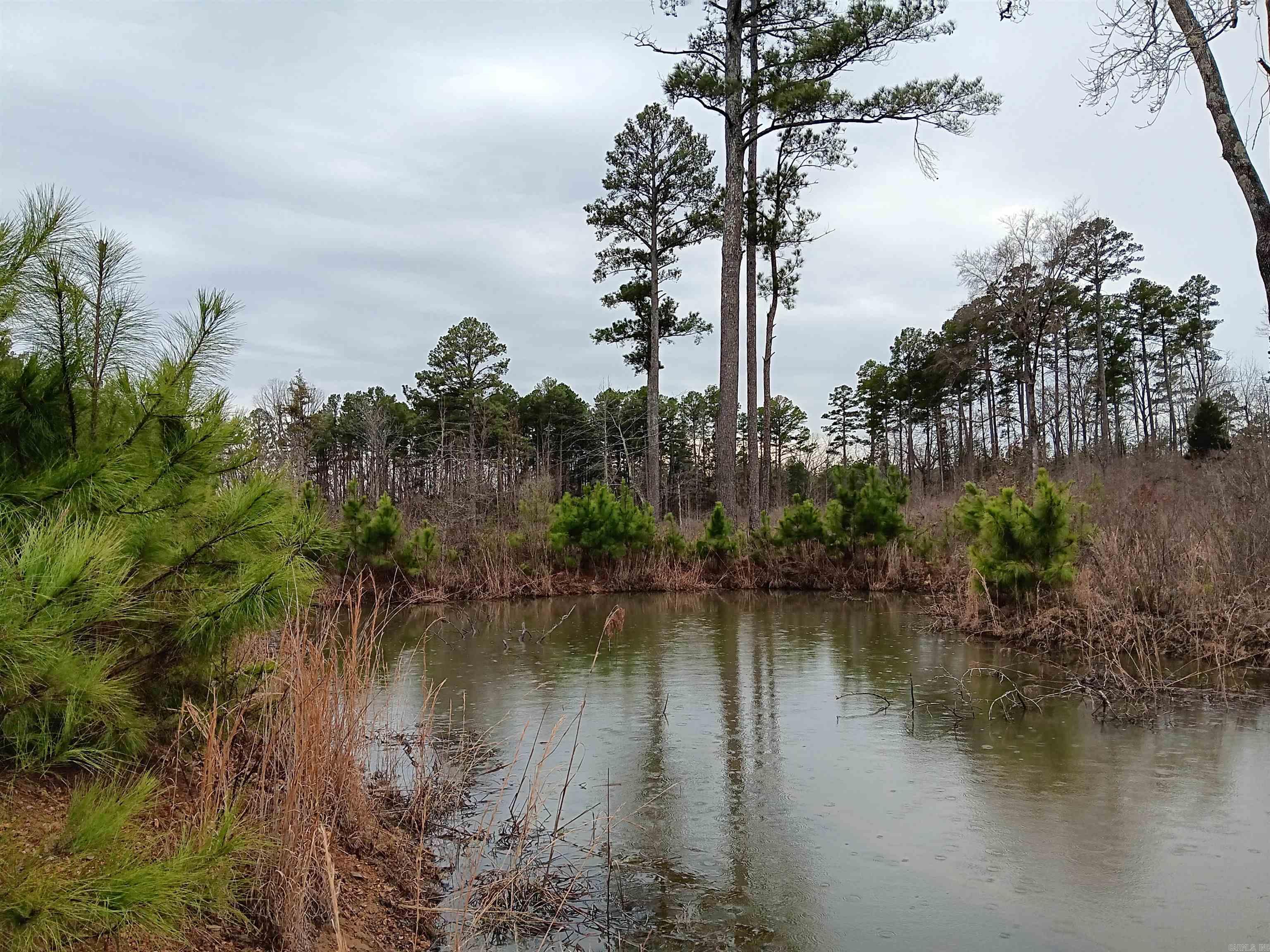 16327  Slade Road  Paron, AR