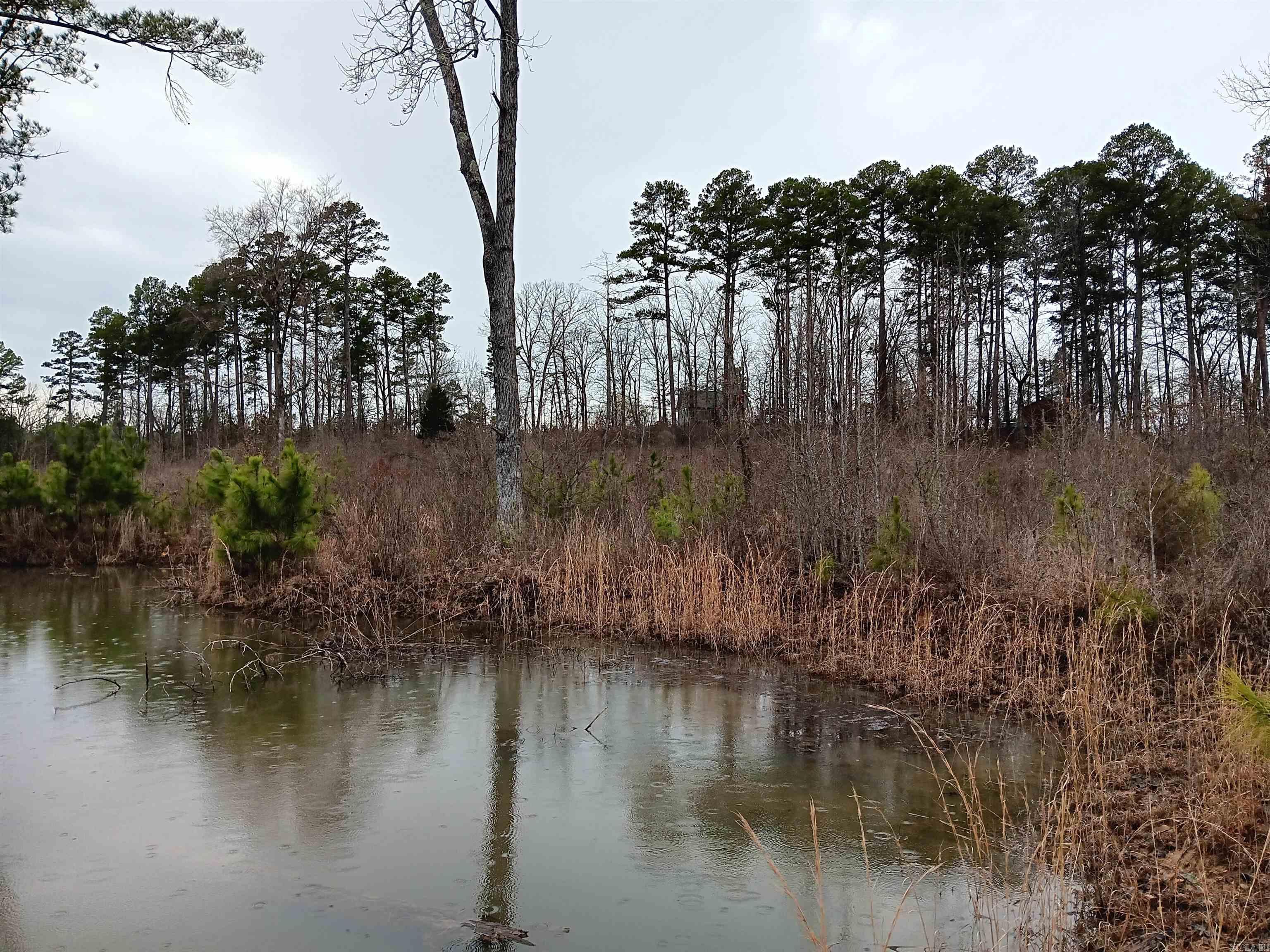 16327  Slade Road  Paron, AR