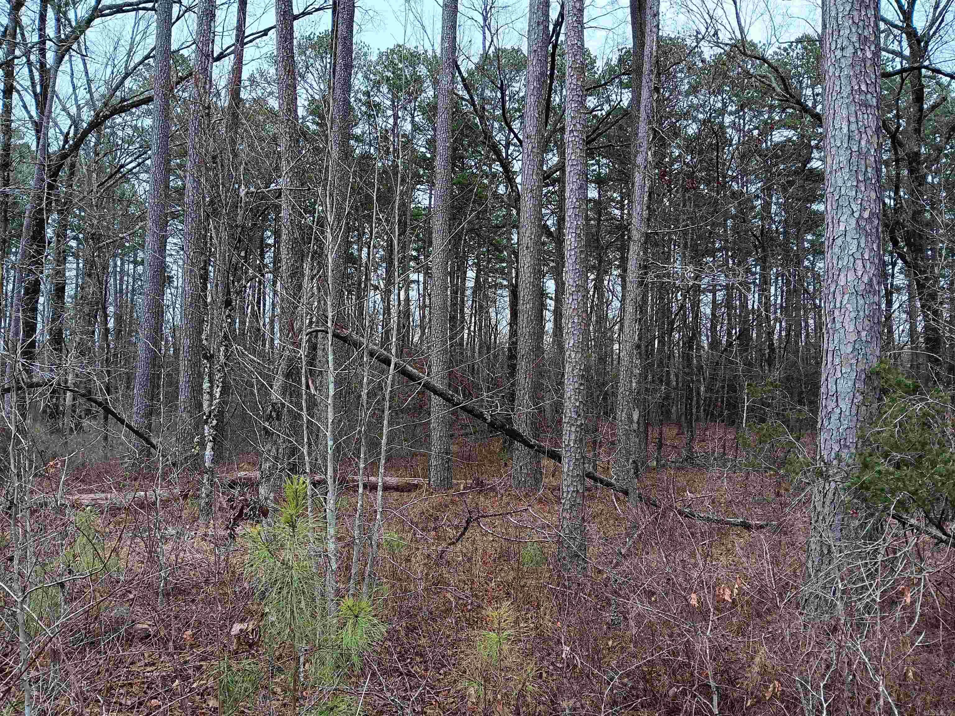 16327  Slade Road  Paron, AR