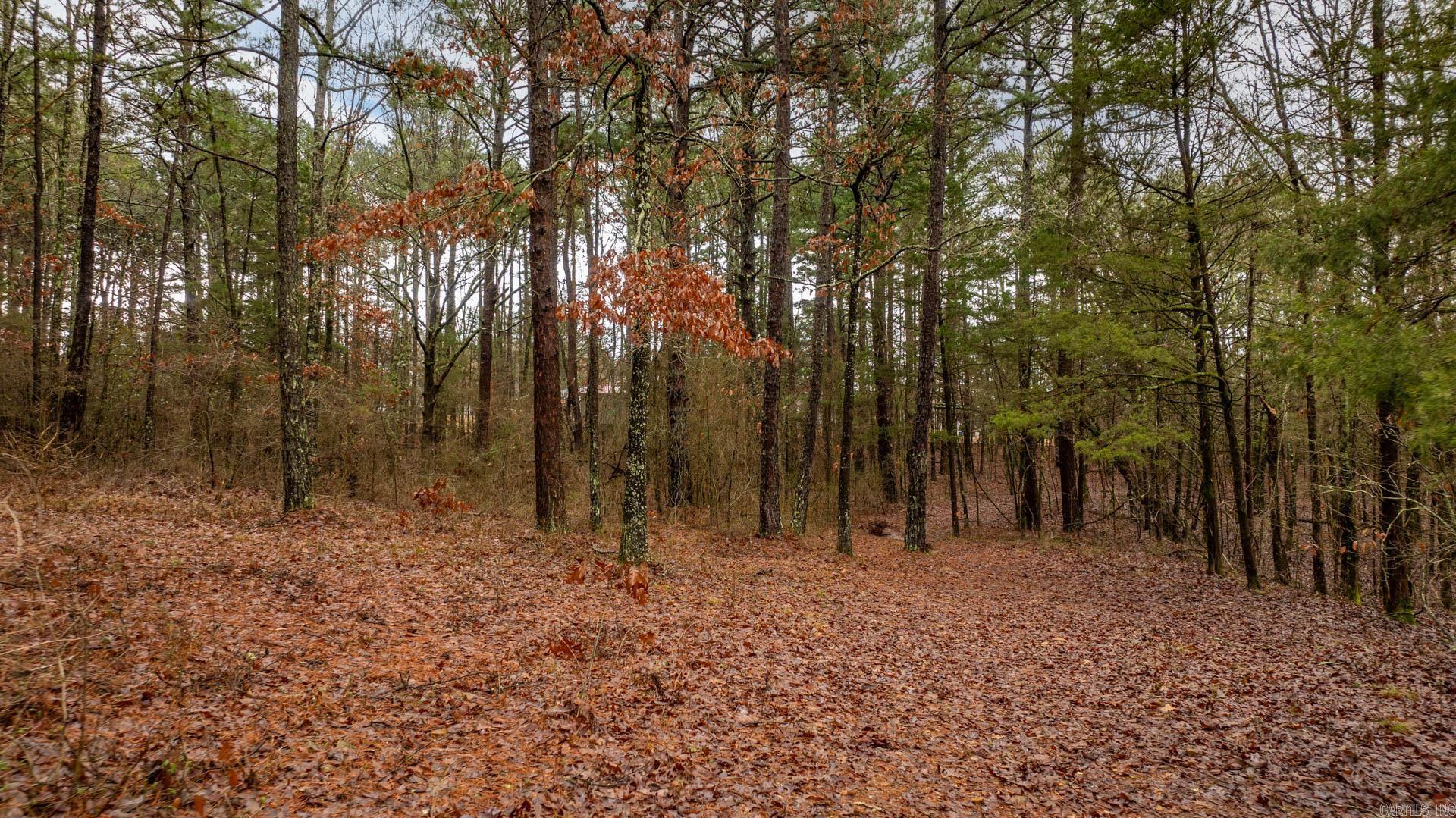 0  Higgins  Greers Ferry, AR