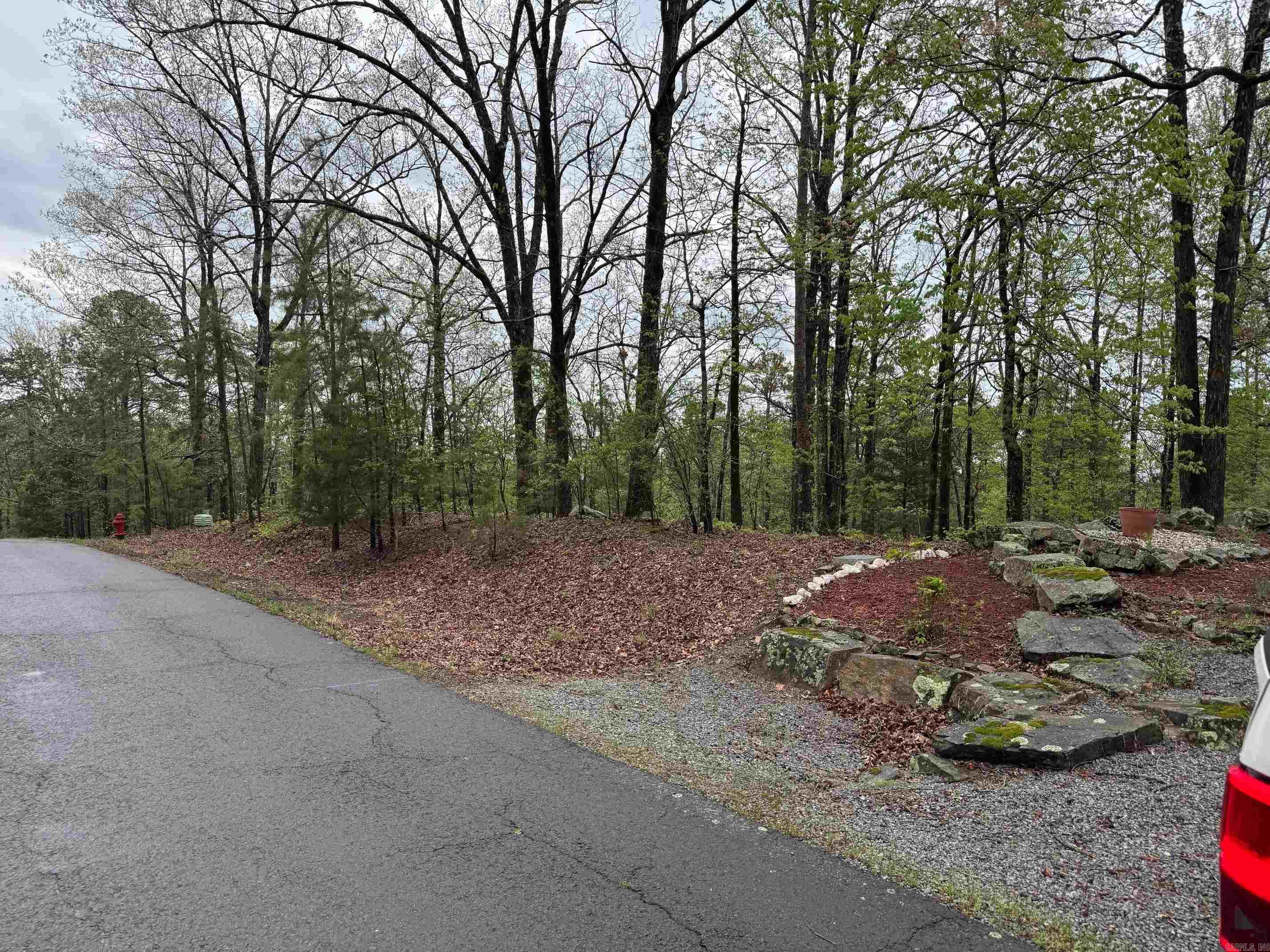 136  SALVATIERRA WAY  Hot Springs Village, AR