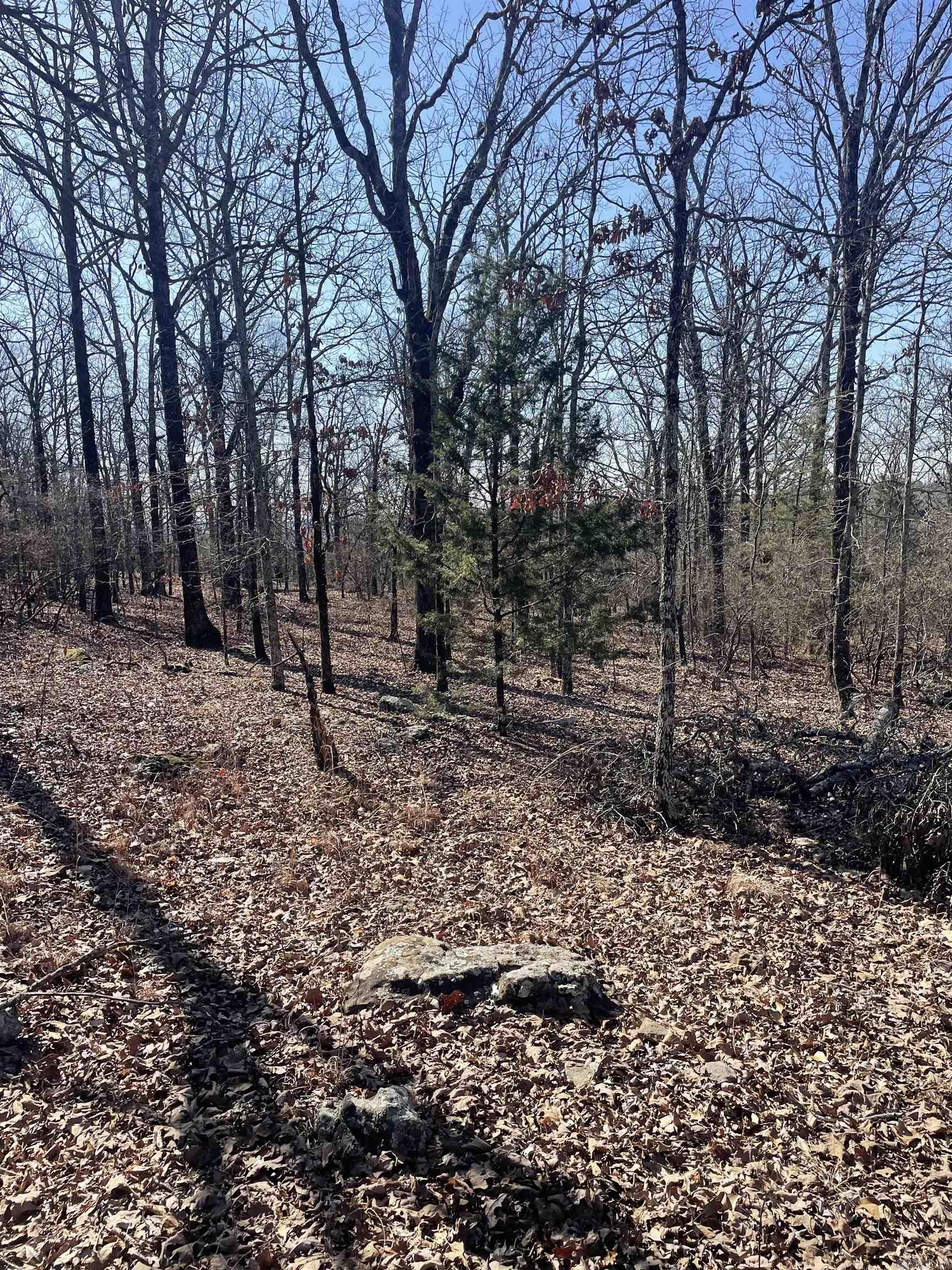 207  Rocky Branch  Beebe, AR