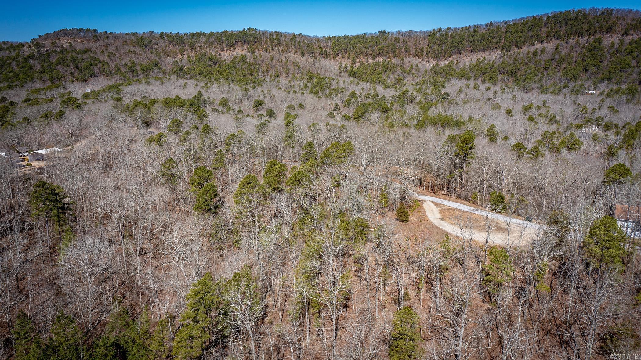 160  Fox Tail  Hot Springs, AR