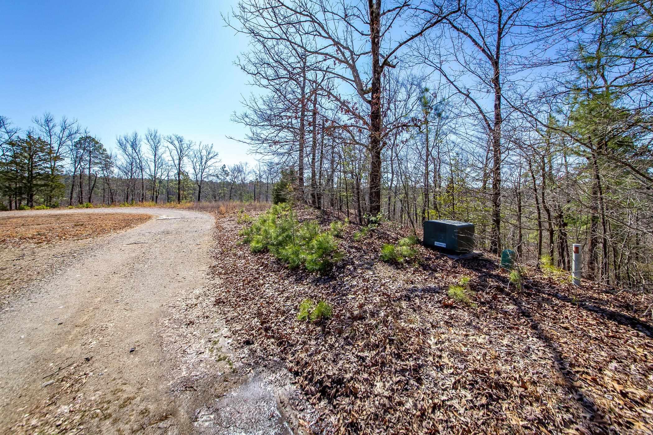 160  Fox Tail  Hot Springs, AR
