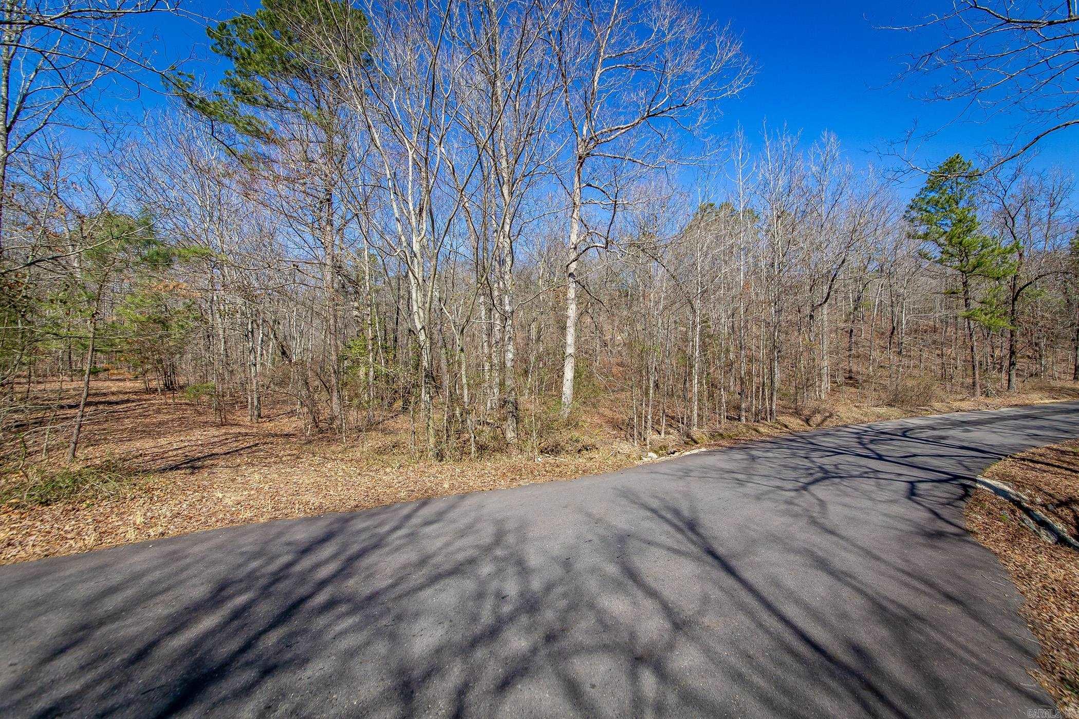 160  Fox Tail  Hot Springs, AR