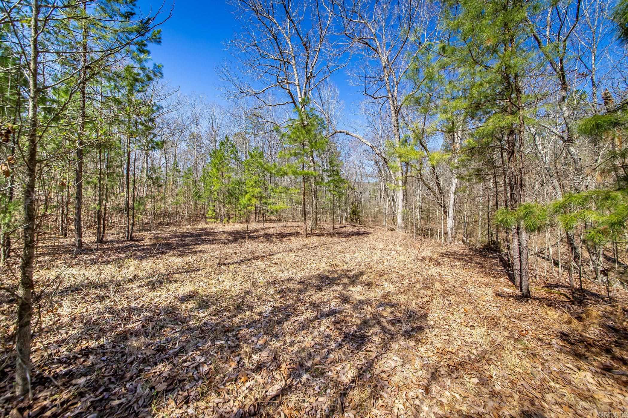 160  Fox Tail  Hot Springs, AR