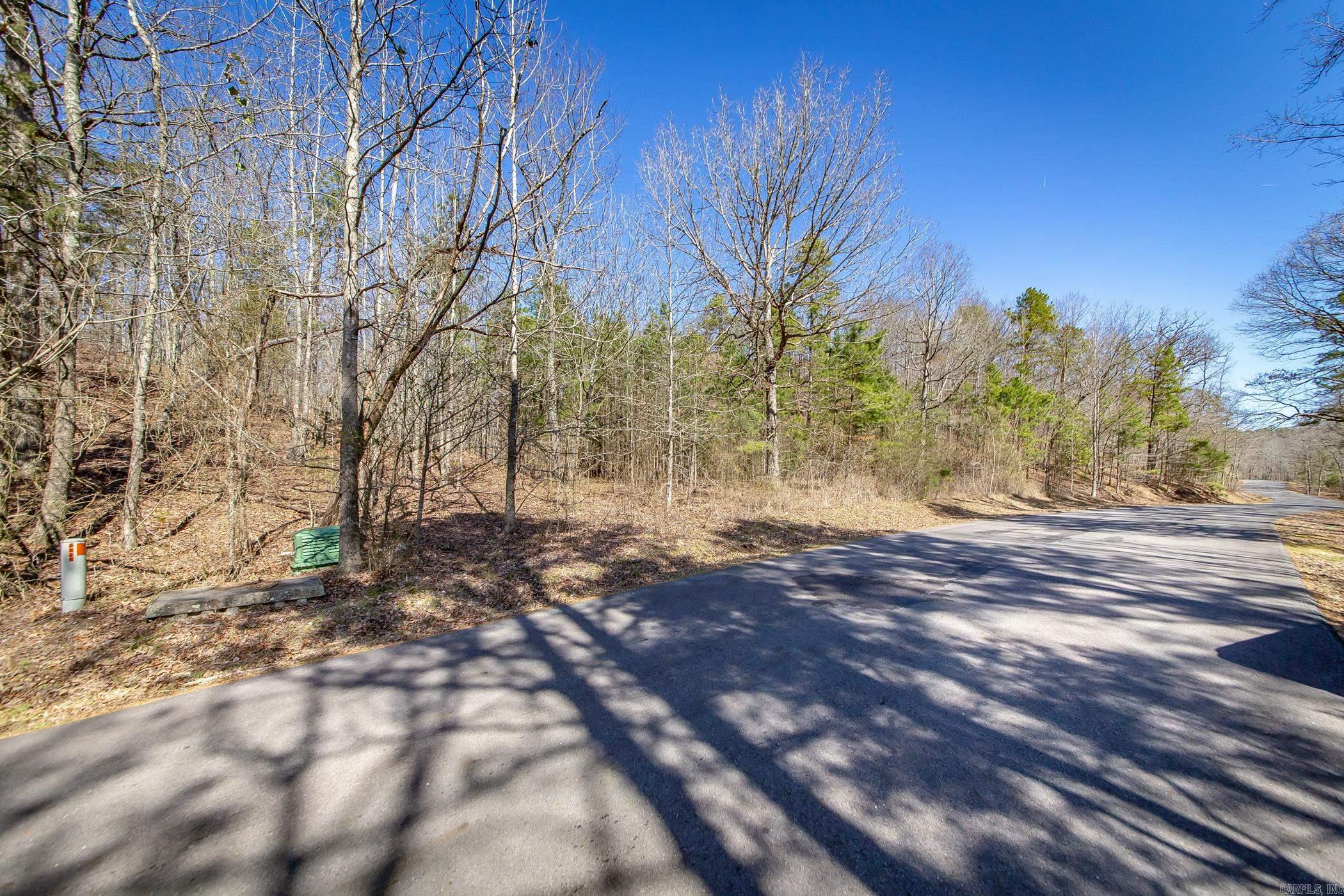 160  Fox Tail  Hot Springs, AR