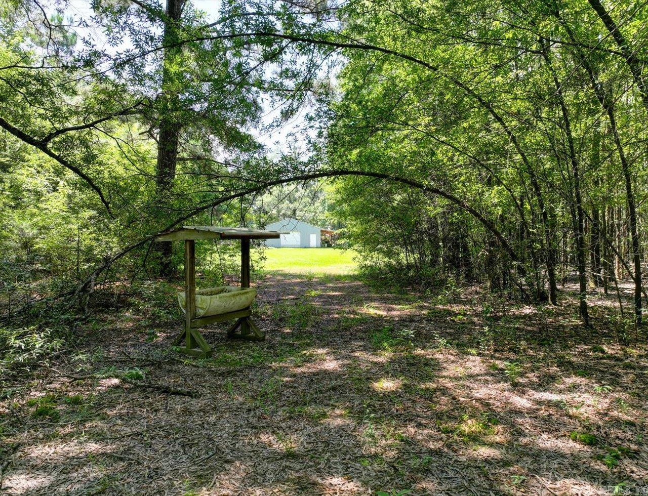 97 Acorn Hollow Ln Pine Bluff, AR 71603