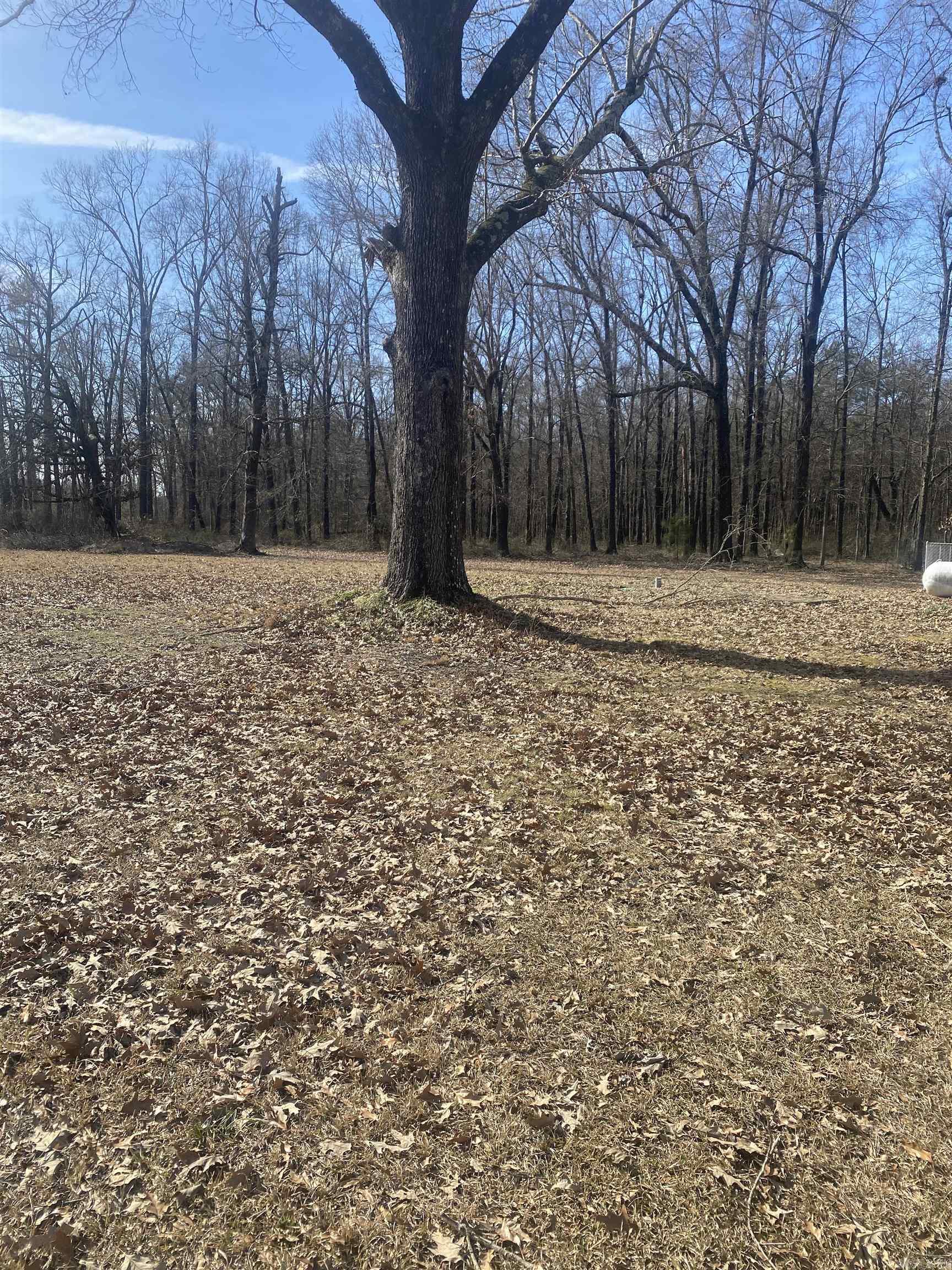 97 Acorn Hollow Ln  Pine Bluff, AR