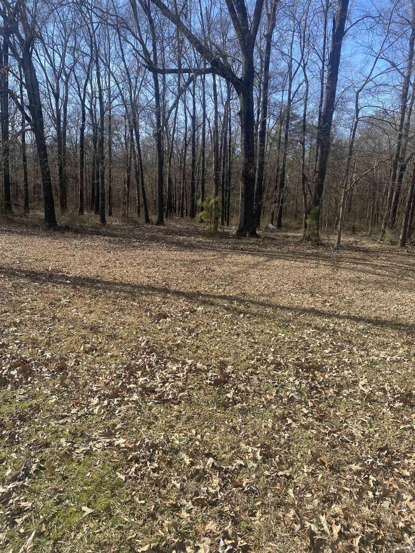 97 Acorn Hollow Ln  Pine Bluff, AR