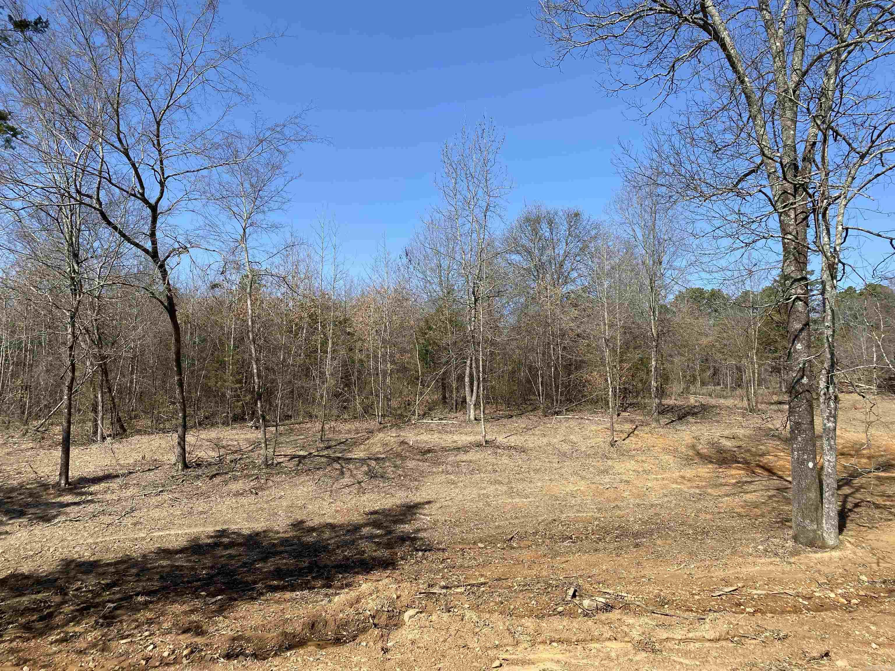 16 Heritage Lane Twin Groves, AR 72061-0000