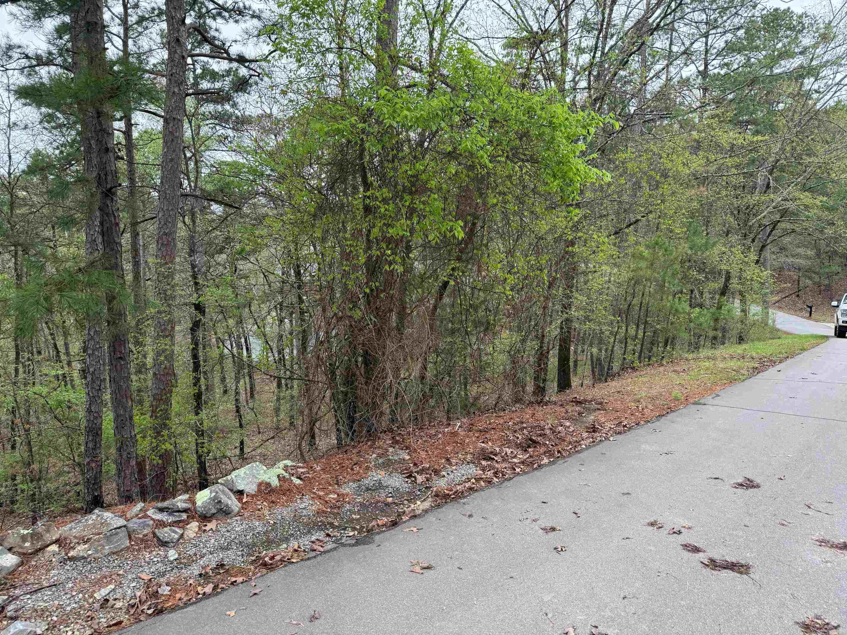 16  CARIBE WAY  Hot Springs Village, AR