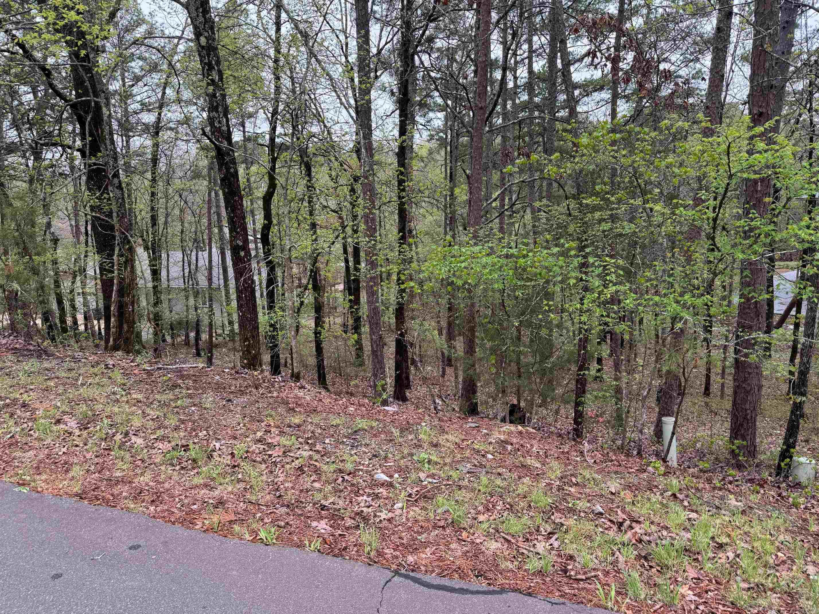 16  CARIBE WAY  Hot Springs Village, AR