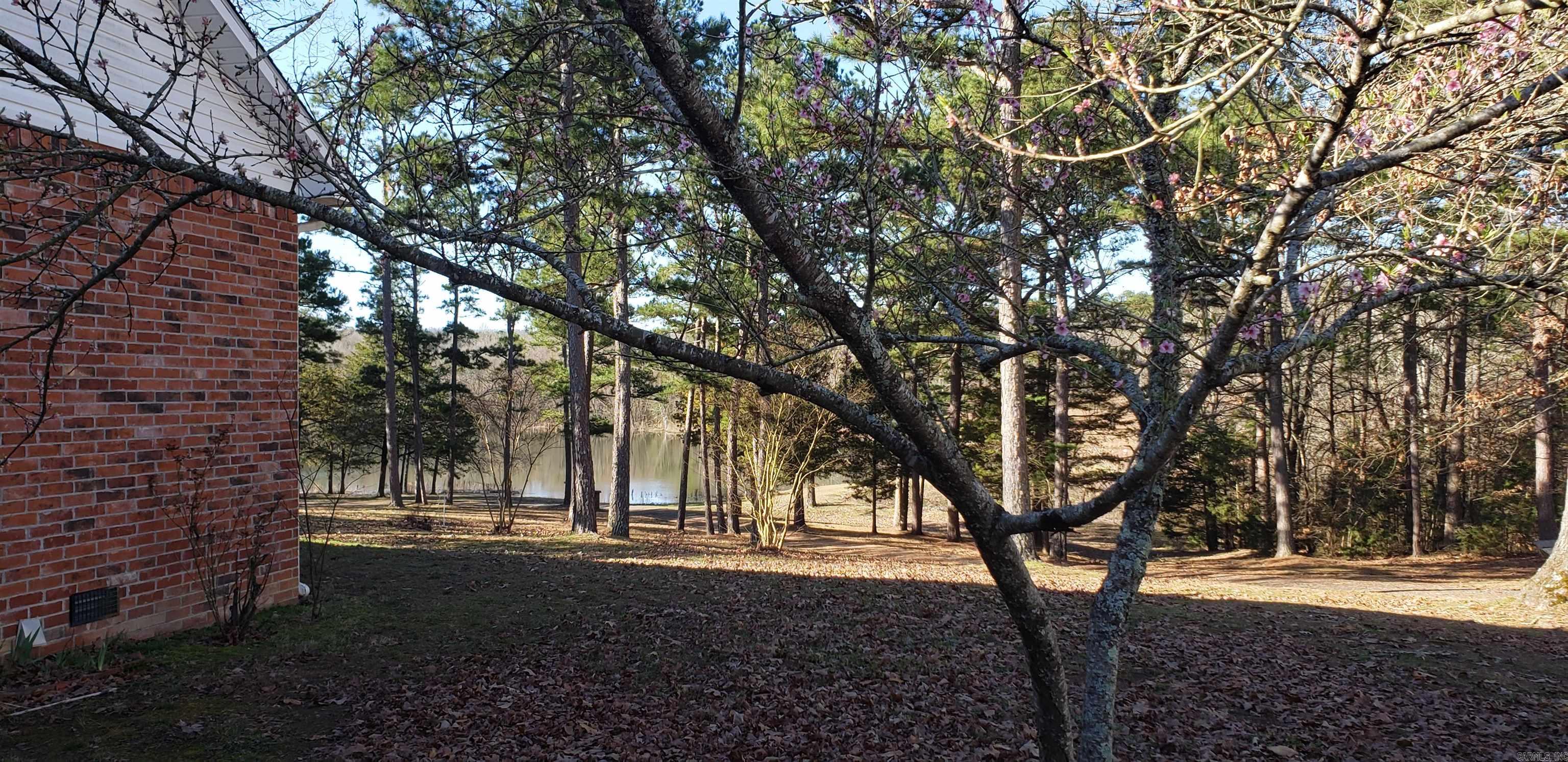 142  Lakeside Ln  Mena, AR