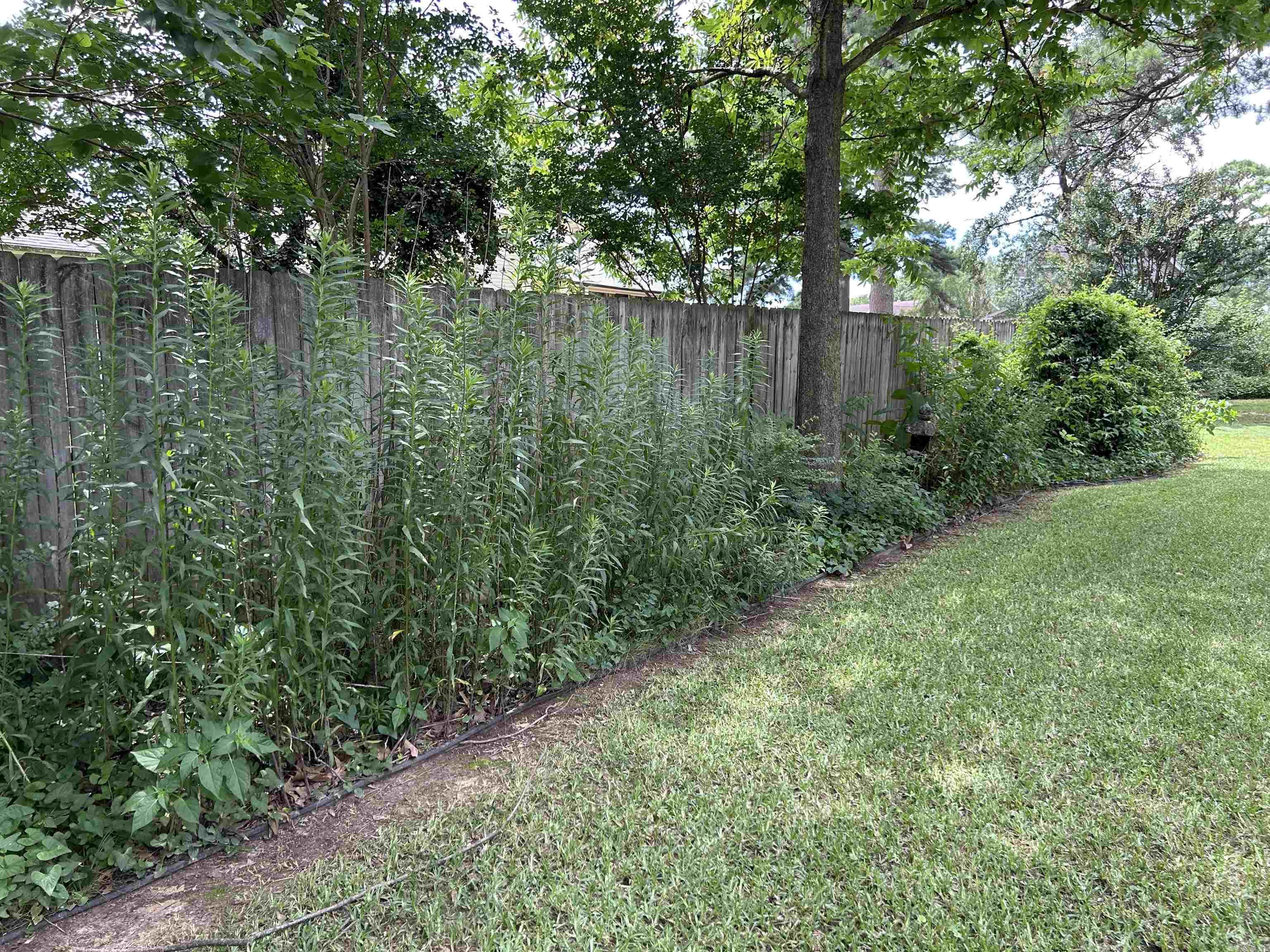 617  EDINBURGH  Jacksonville, AR