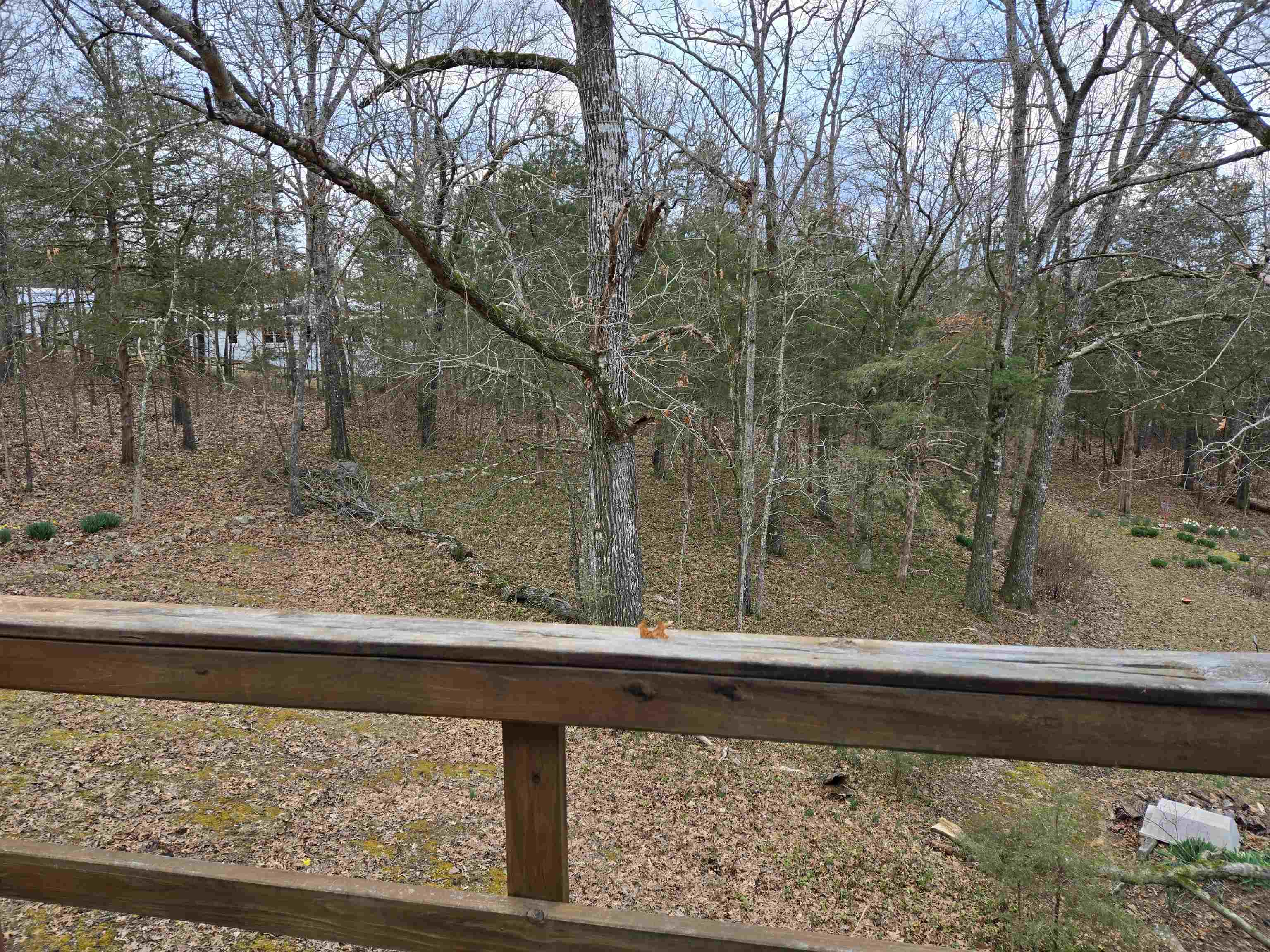 175  Cherokee  Cherokee Village, AR