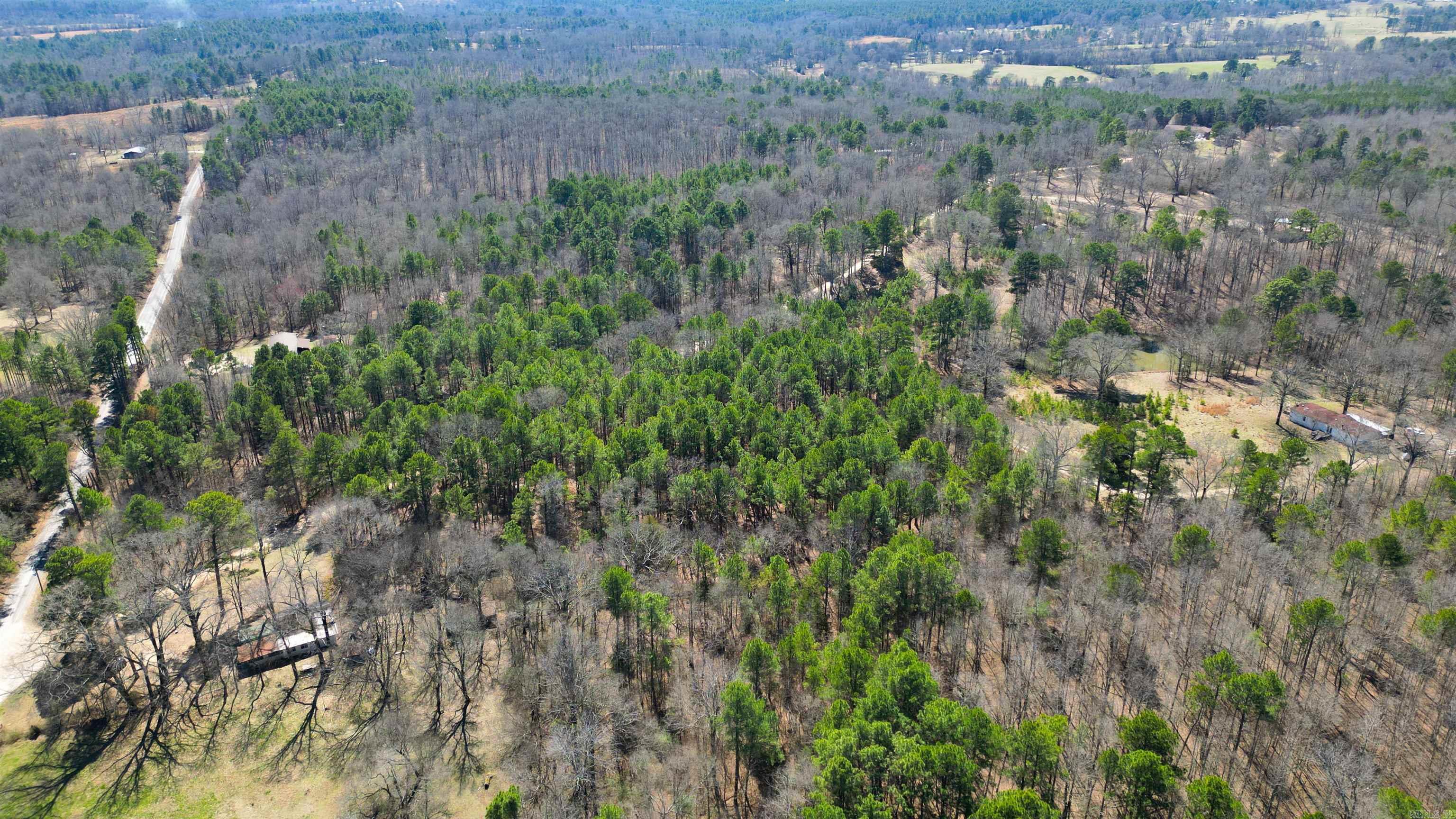 1537  Williams Cutoff  Bismarck, AR