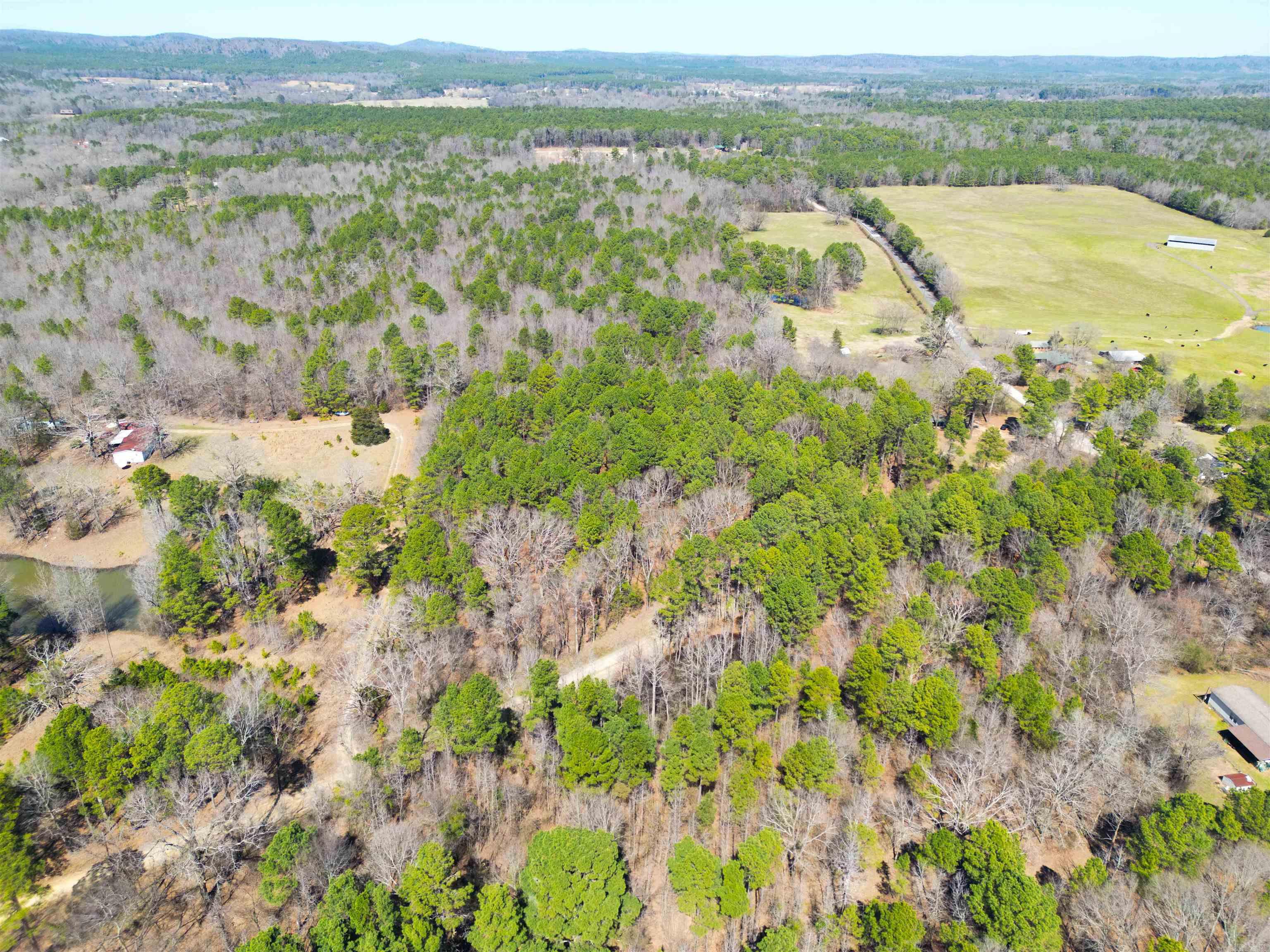 1537  Williams Cutoff  Bismarck, AR