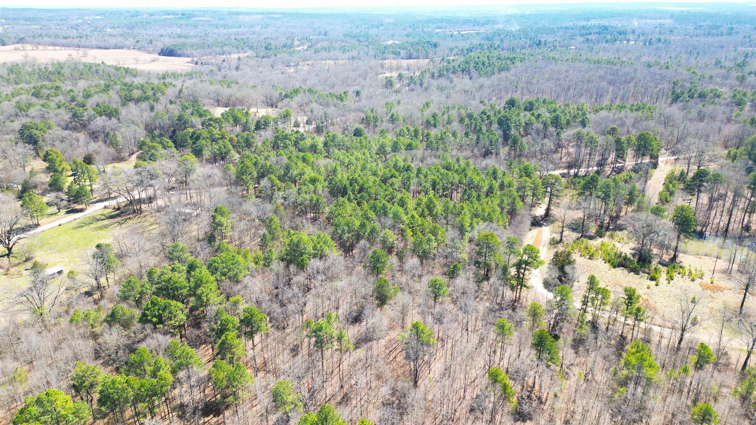 1537  Williams Cutoff  Bismarck, AR