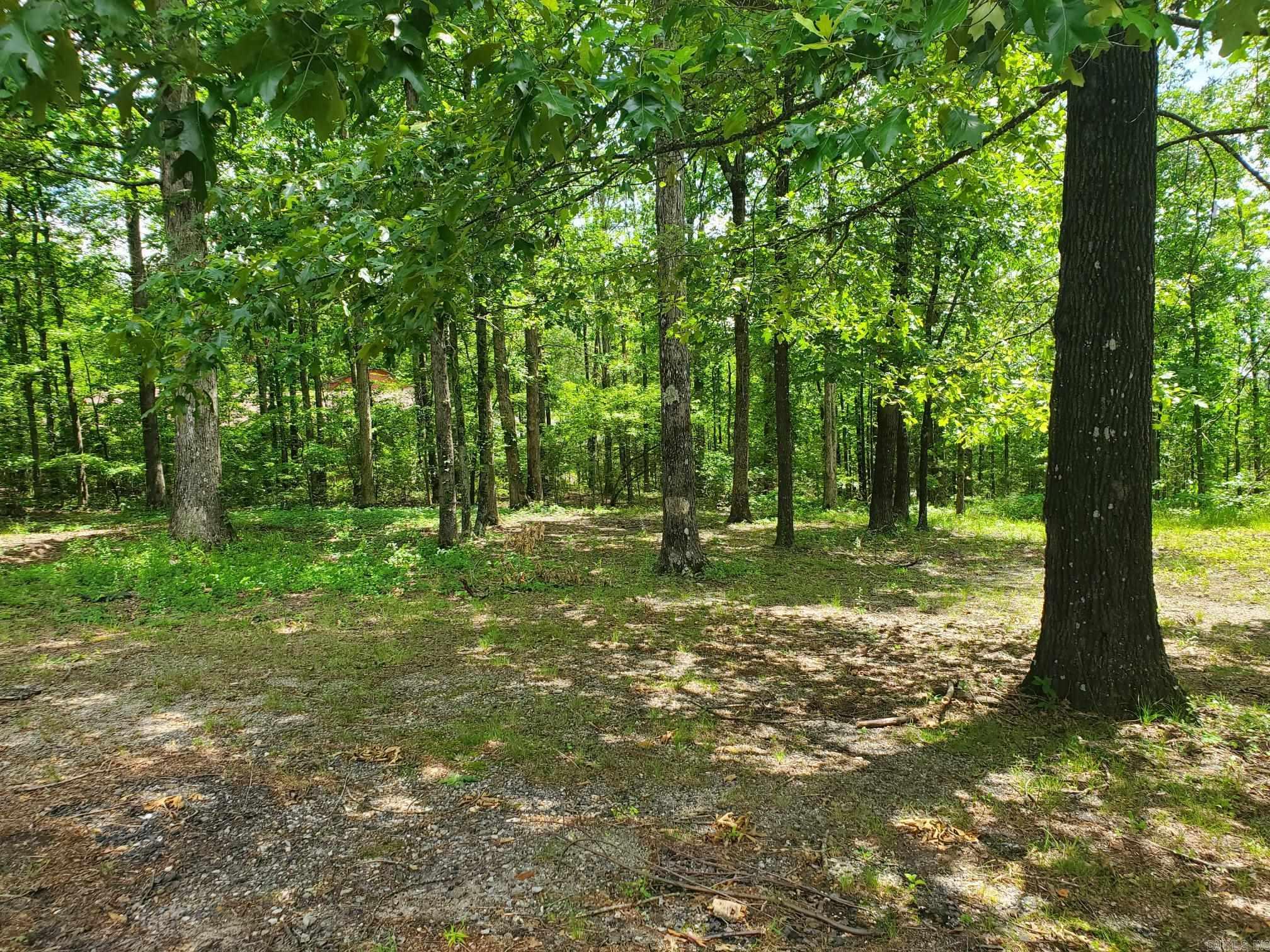 TBD (Lot 5) Brandon  Mena, AR