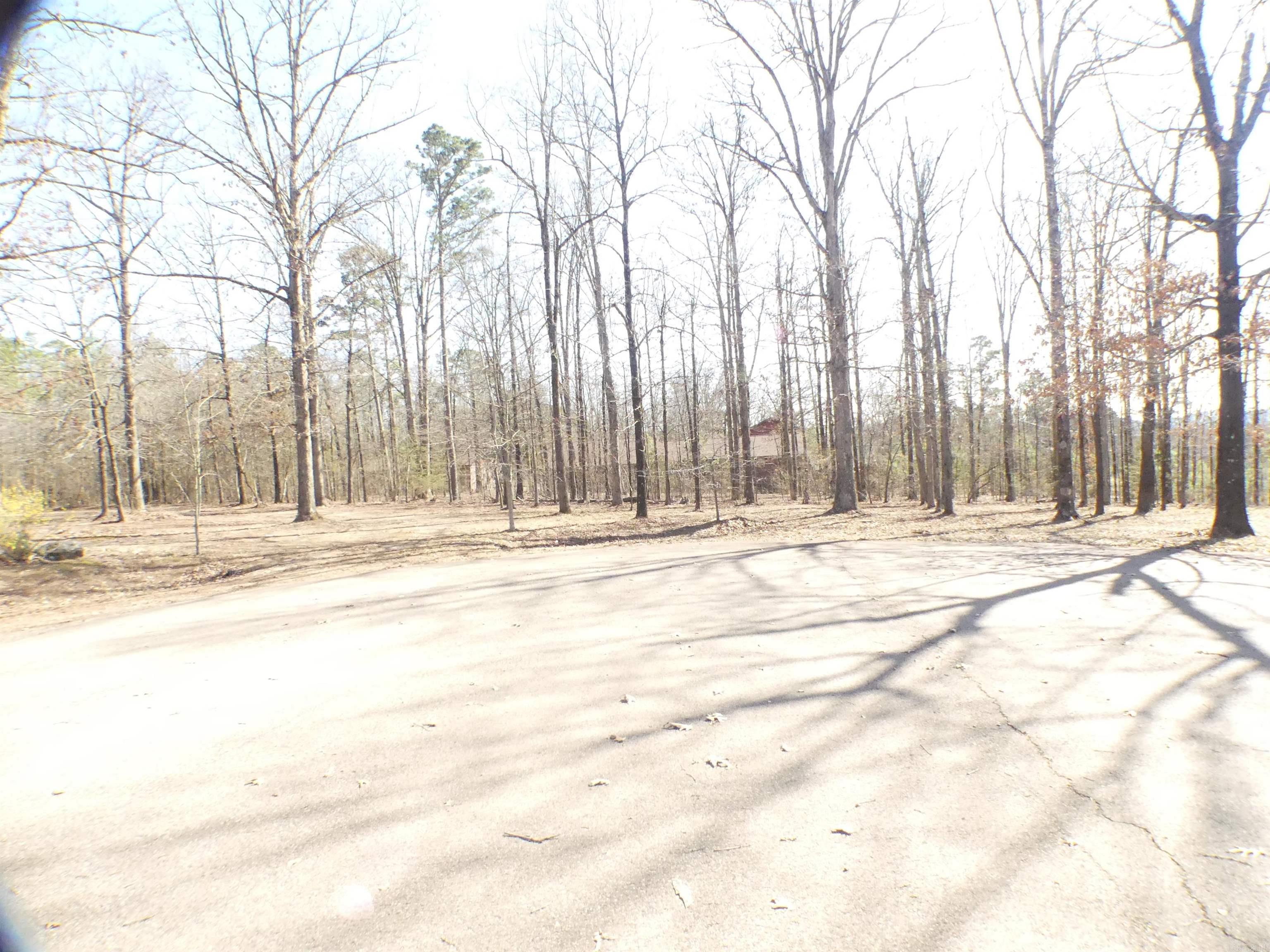 TBD (Lot 5)  Brandon  Mena, AR