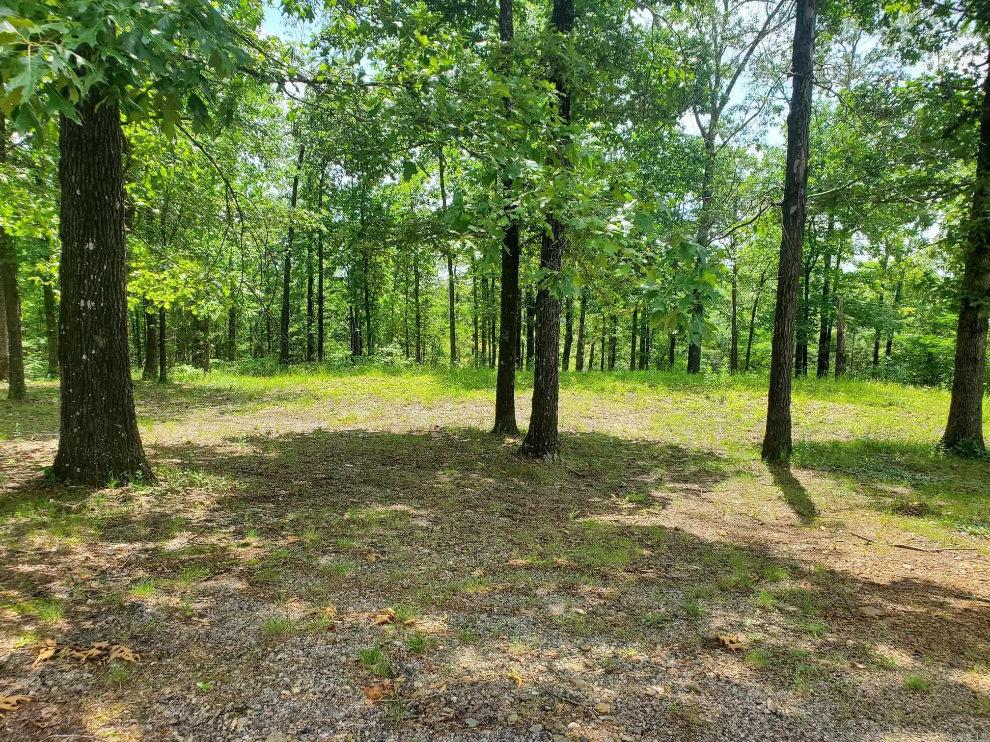 TBD (Lot 5) Brandon  Mena, AR