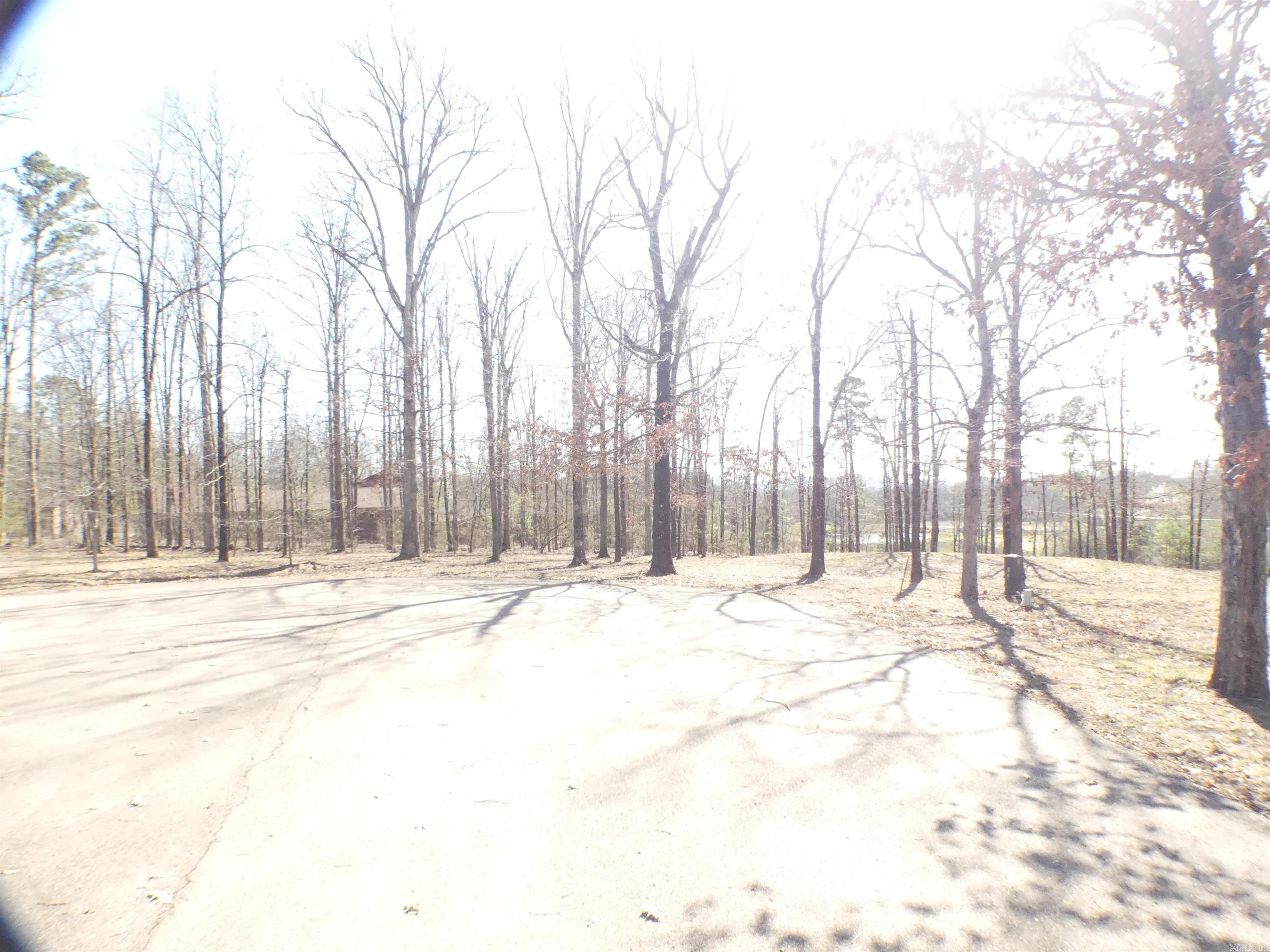 TBD (Lot 5)  Brandon  Mena, AR