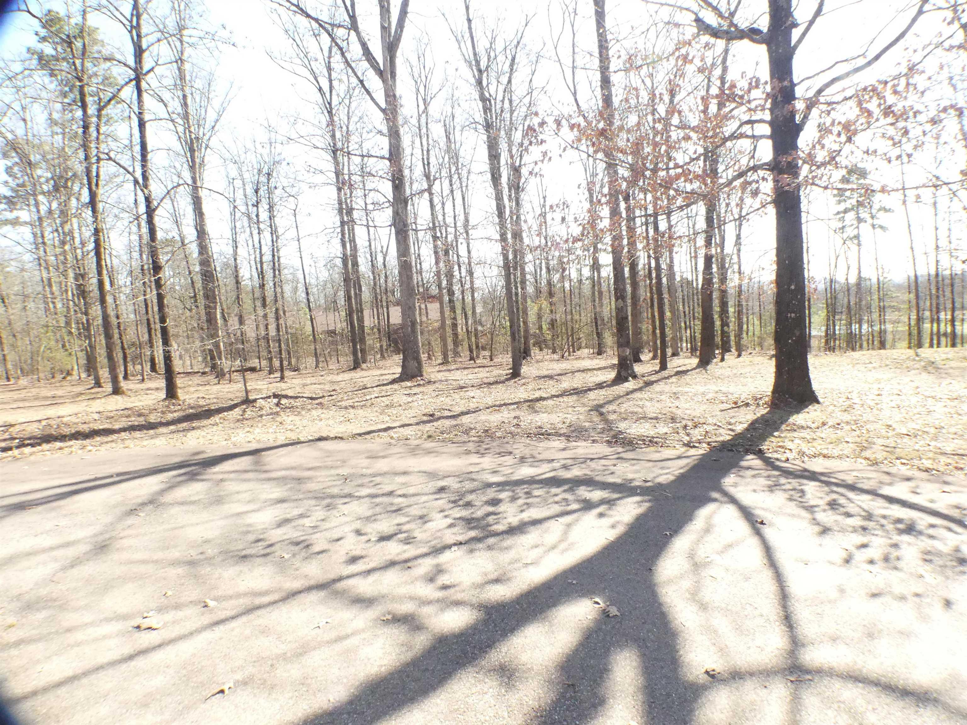 TBD (Lot 5)  Brandon  Mena, AR