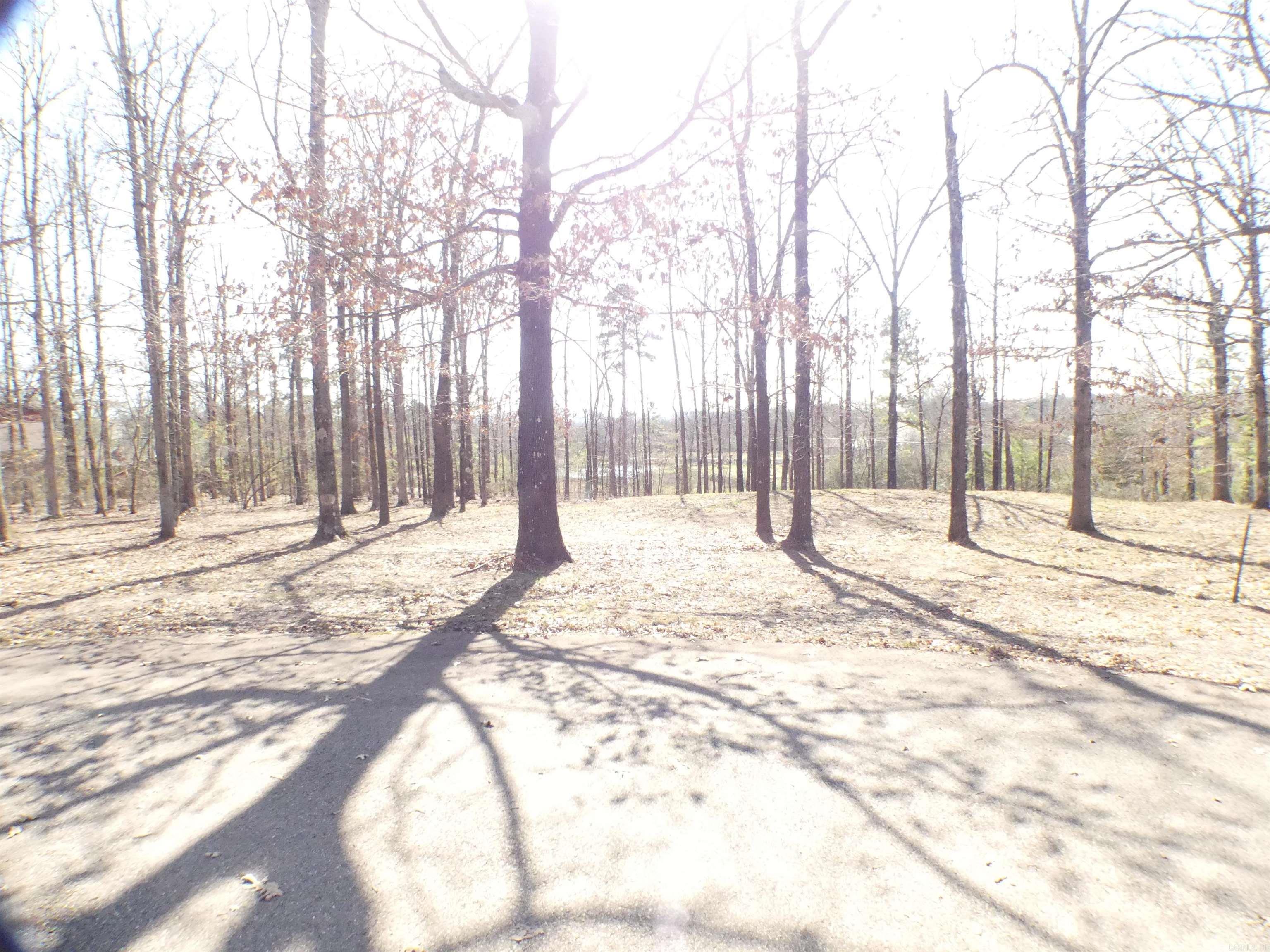 TBD (Lot 5)  Brandon  Mena, AR