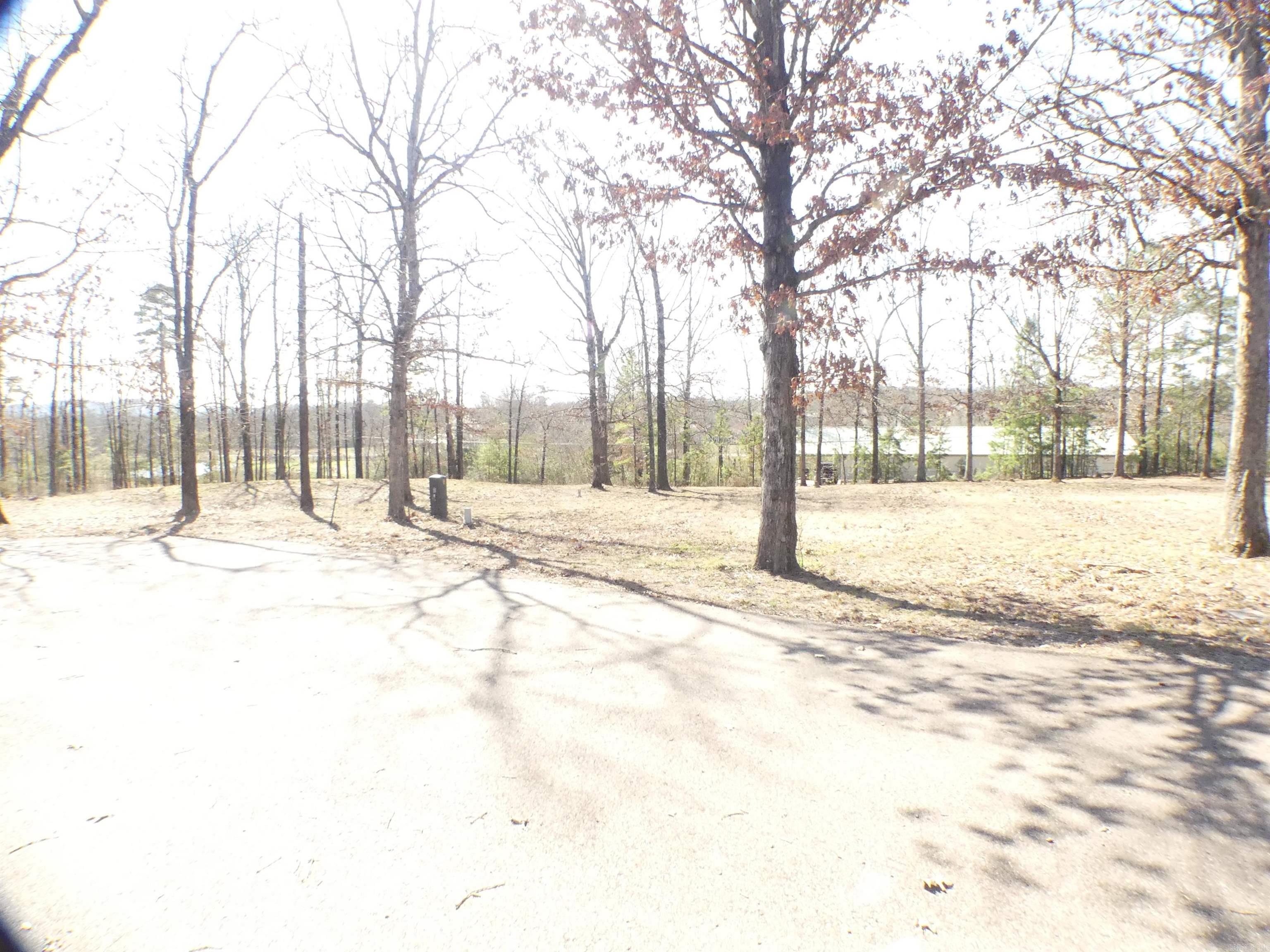 TBD (Lot 4)  Brandon  Mena, AR