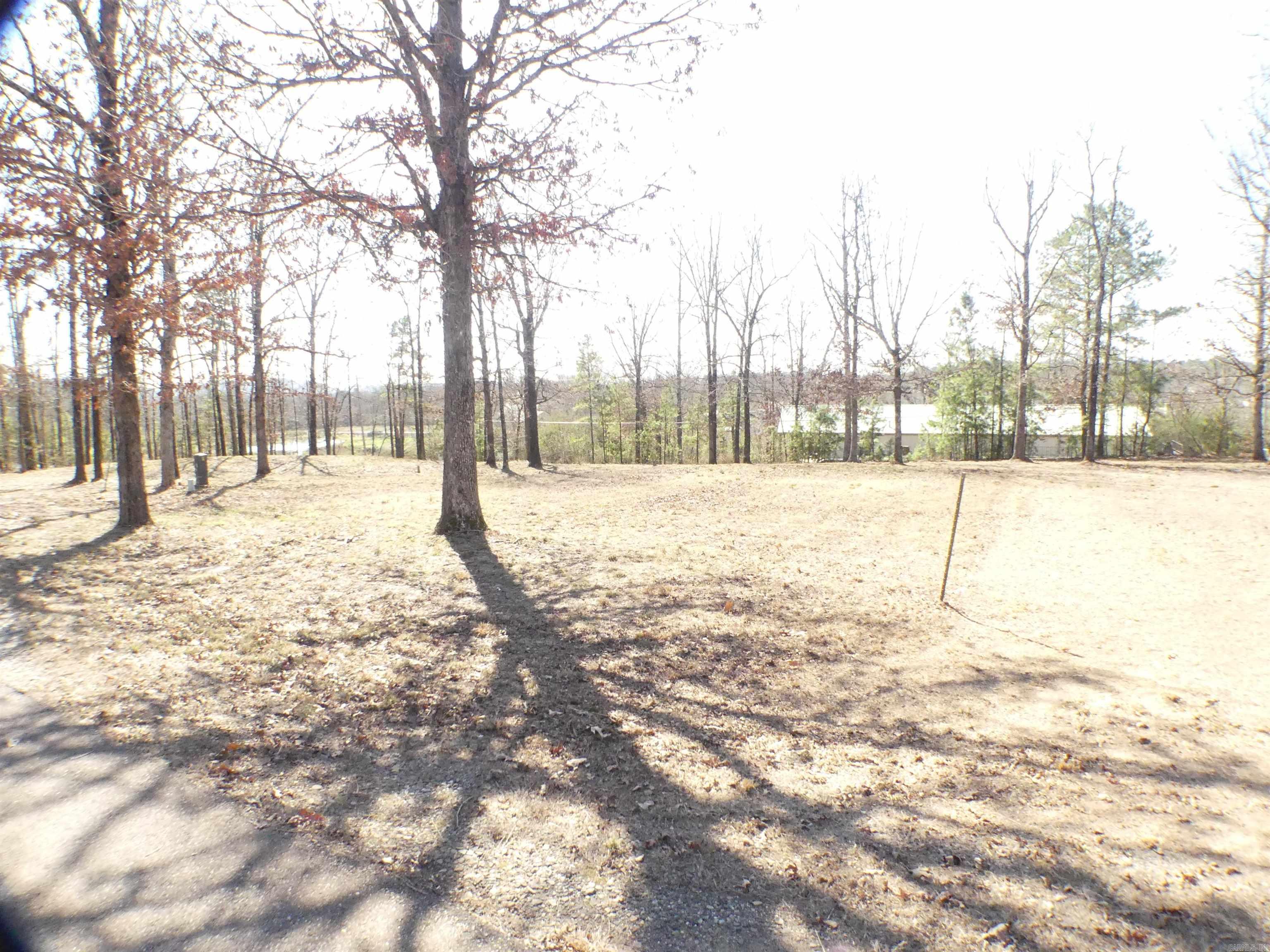 TBD (Lot 4)  Brandon  Mena, AR