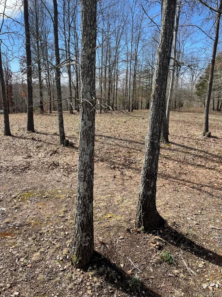 769  Fry  Harriet, AR