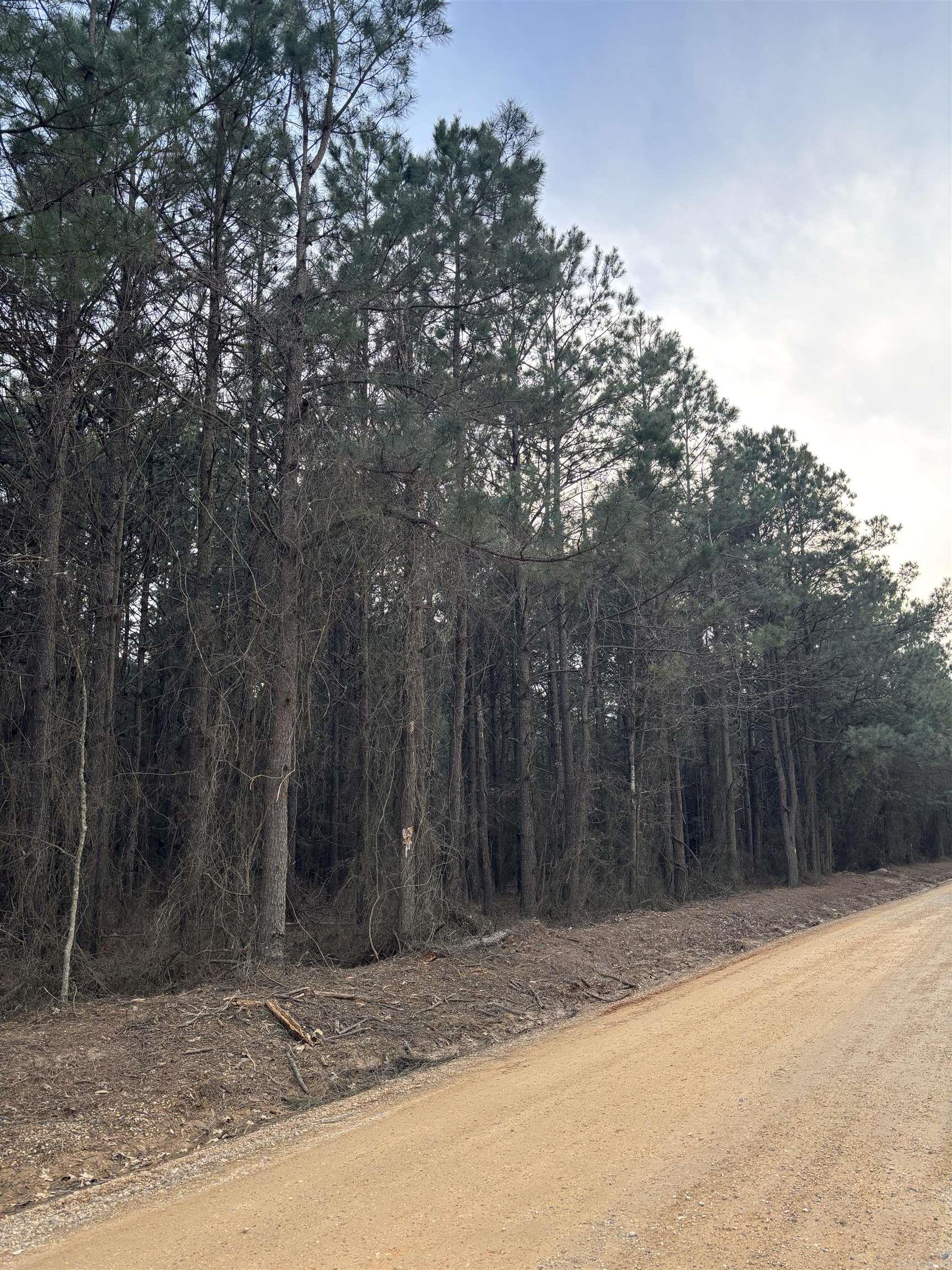 910  Highway 8  Warren, AR