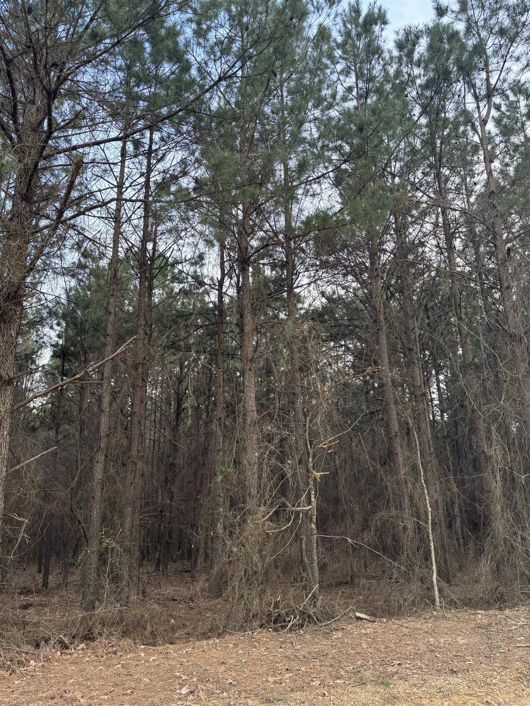 910  Highway 8  Warren, AR