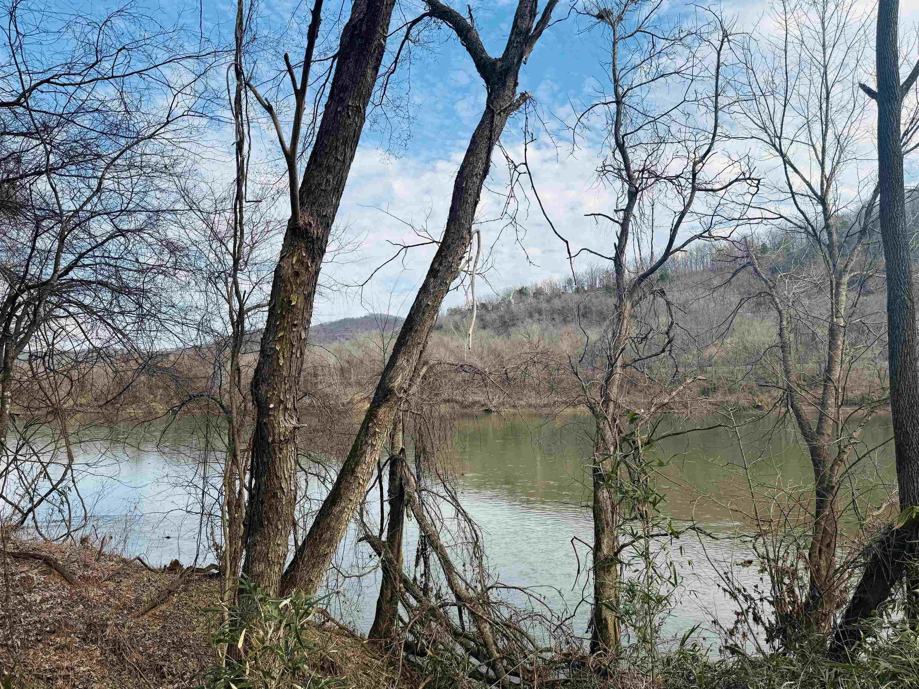 19  Allure Lane  Mountain View, AR