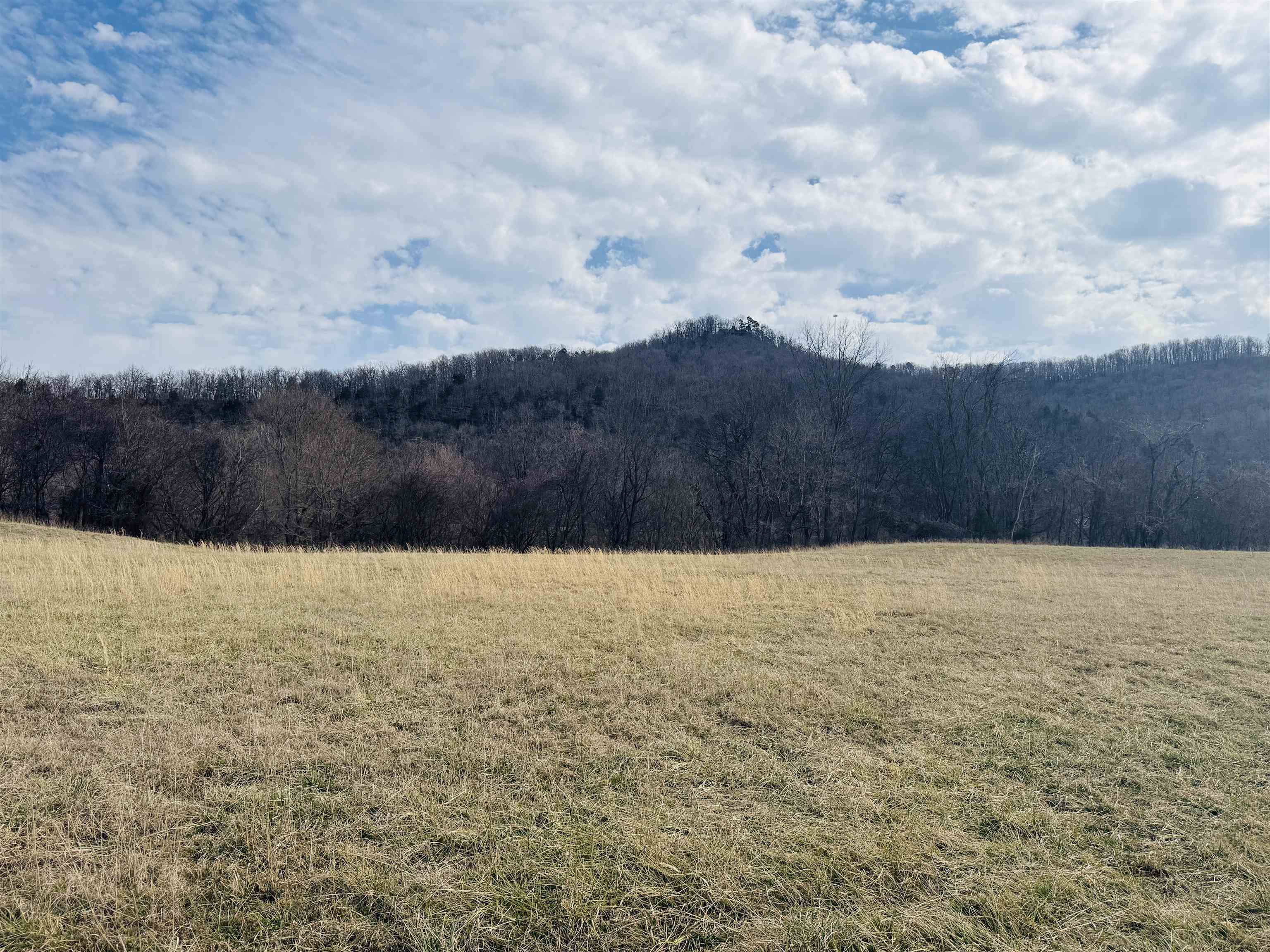 19  Allure Lane  Mountain View, AR