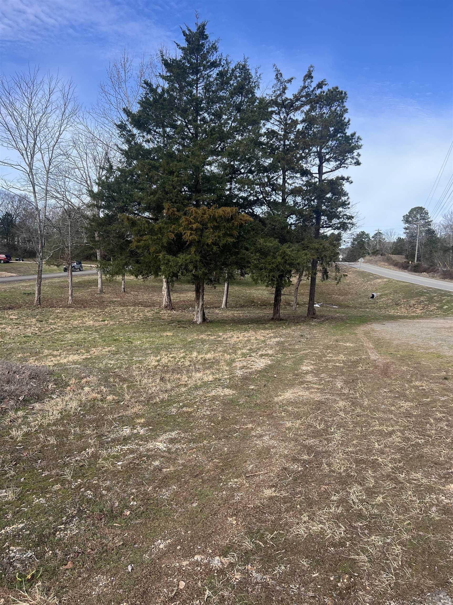 24342  Dreamy Oaks Dr.  Paron, AR