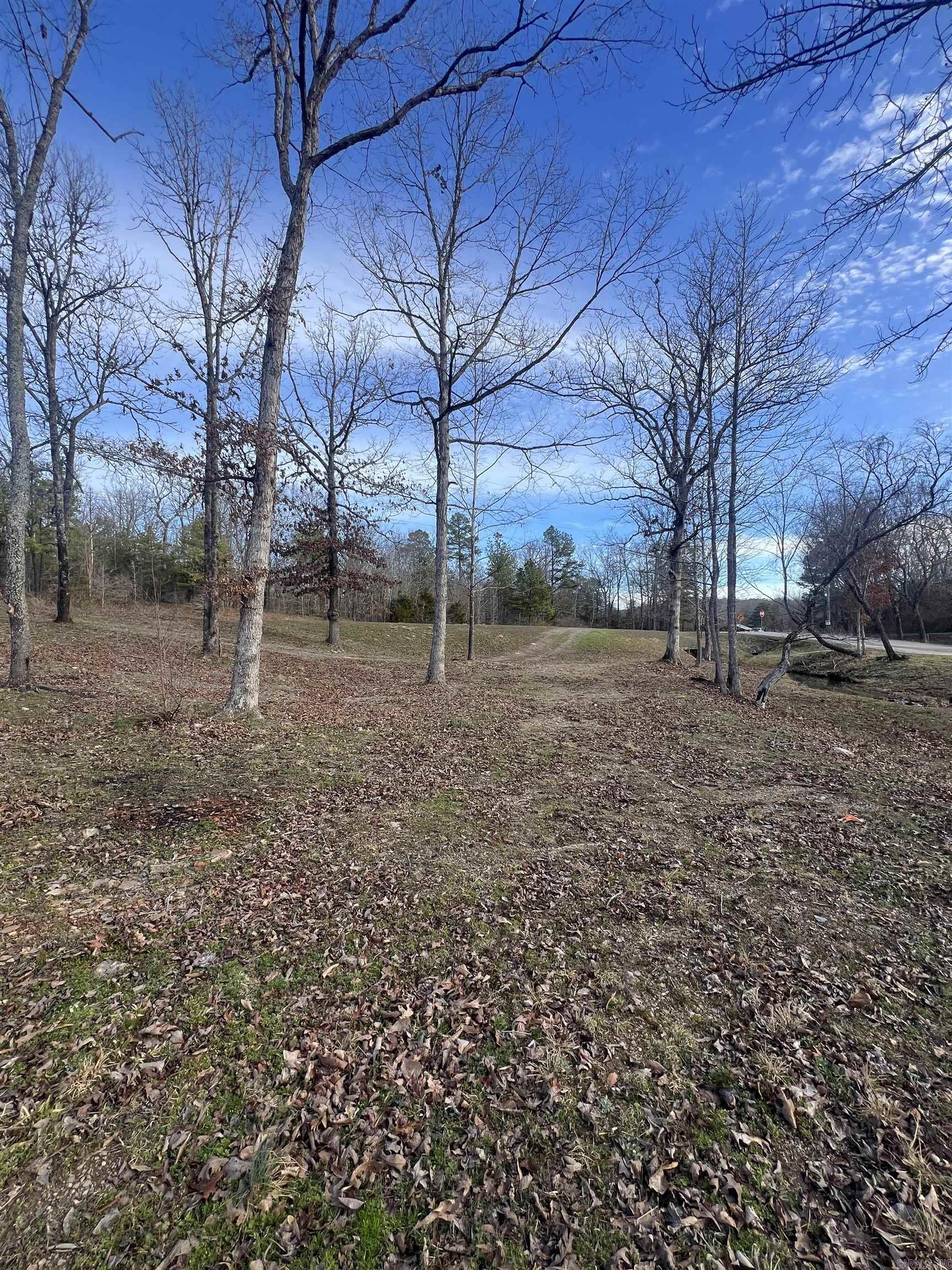 24342  Dreamy Oaks Dr.  Paron, AR