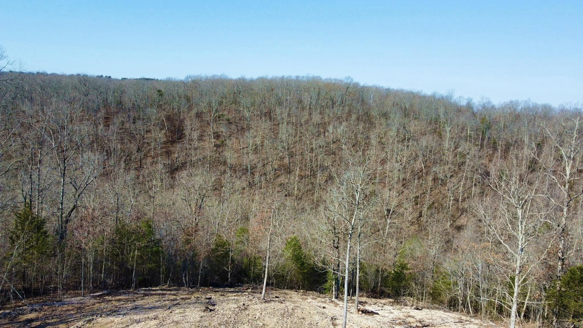 Tract 6  Brayden Drive  Mountain View, AR