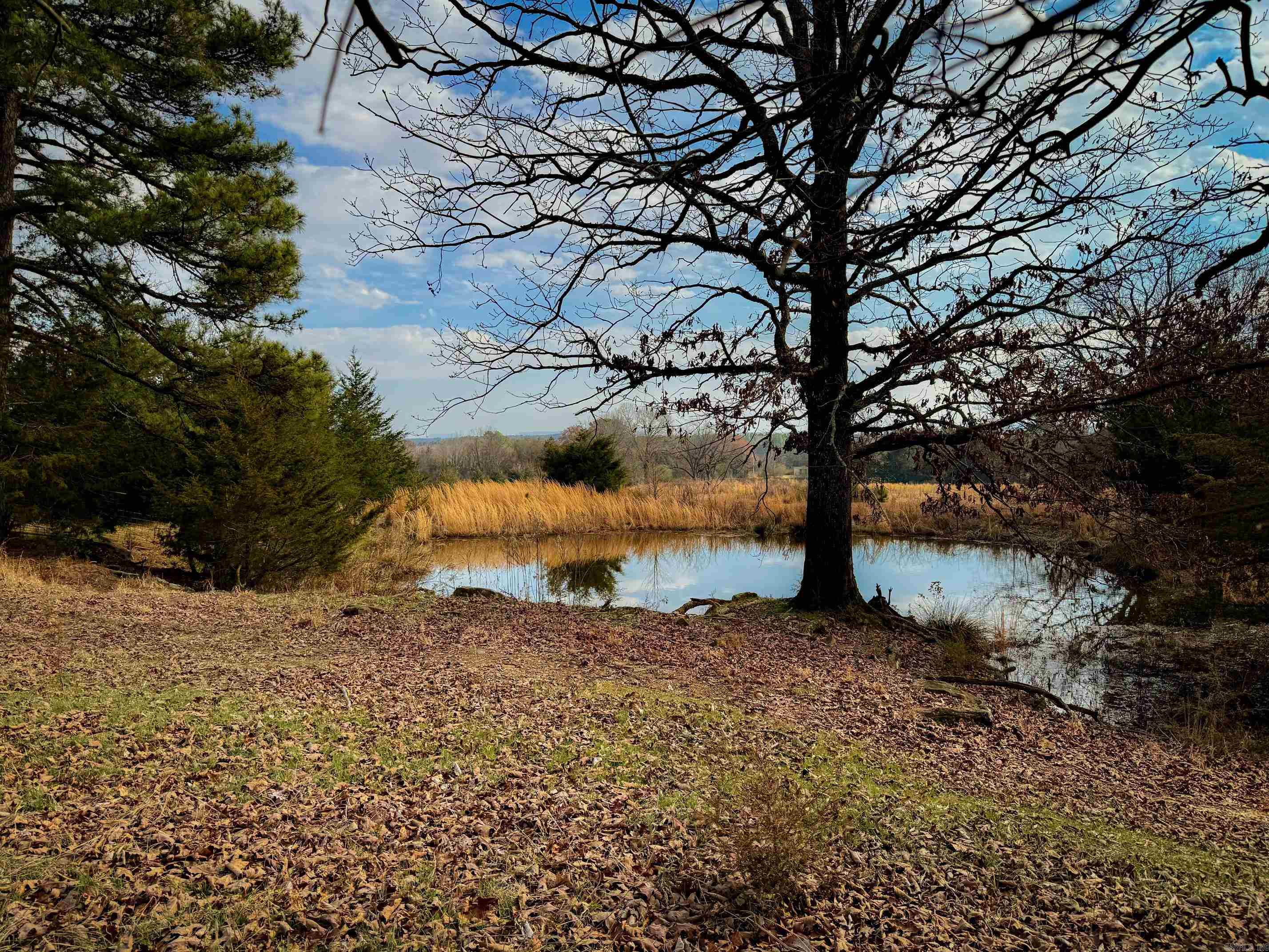 2482  County Road 3451  Clarksville, AR