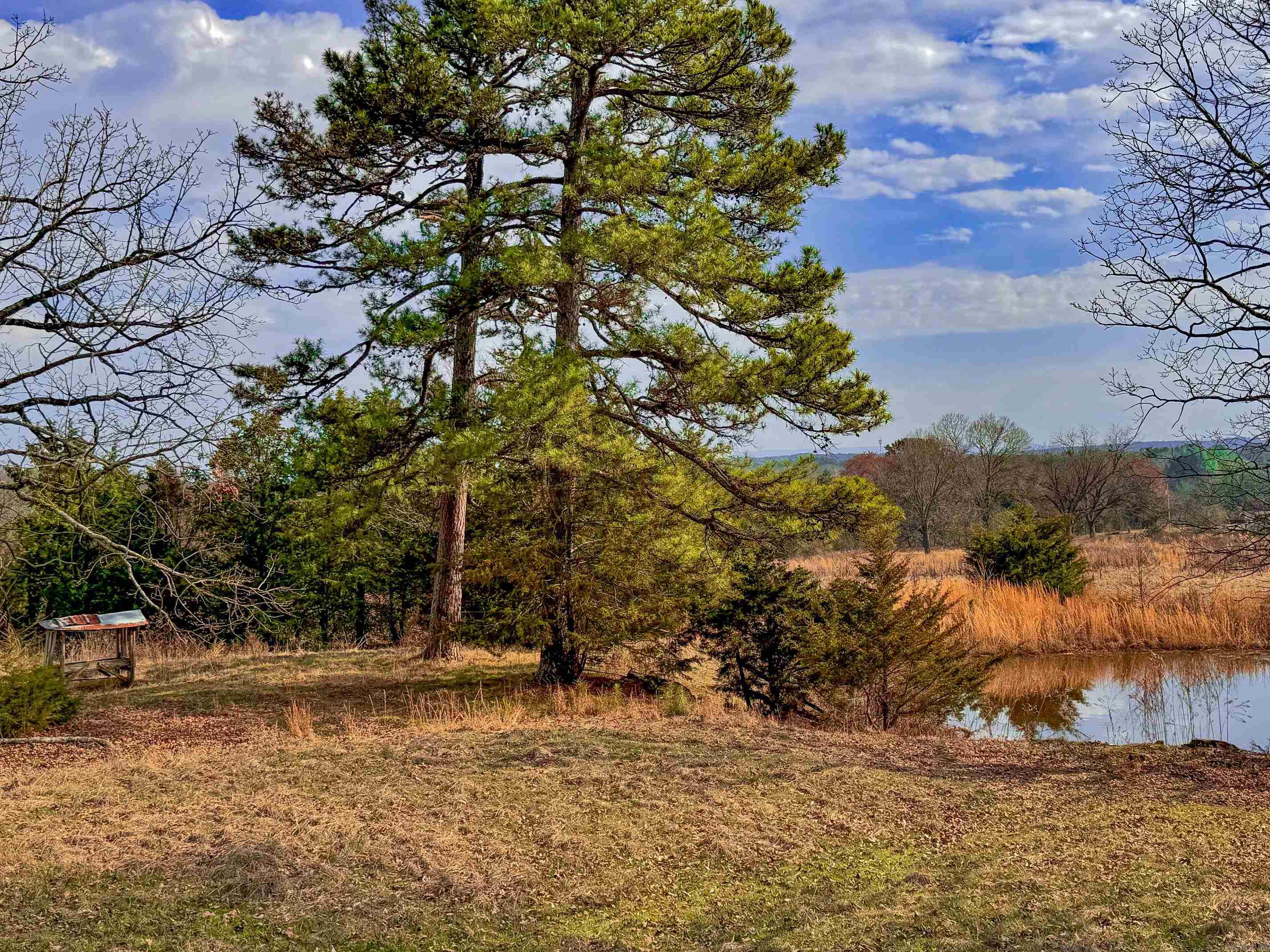 2482  County Road 3451  Clarksville, AR