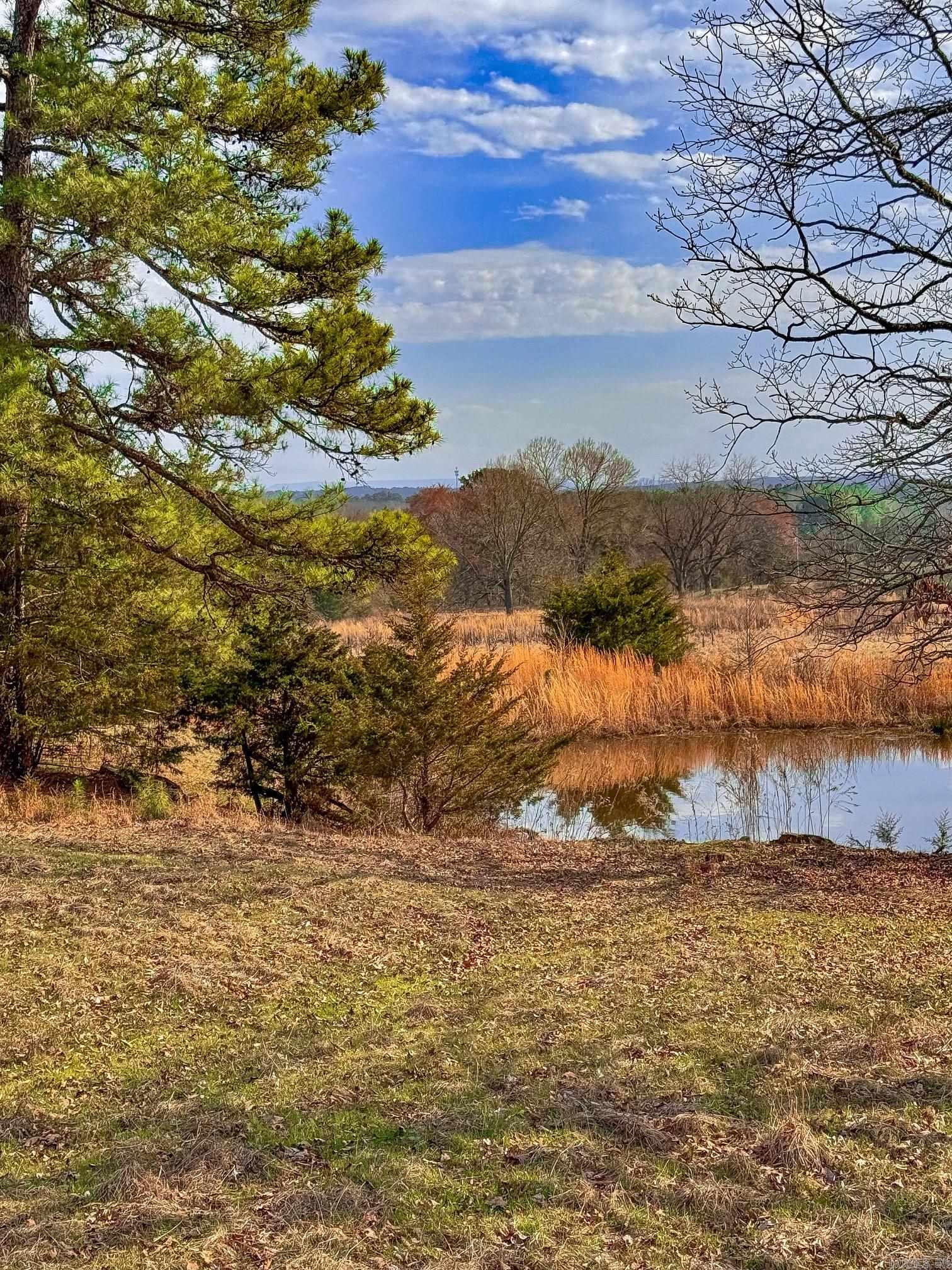 2482  County Road 3451  Clarksville, AR