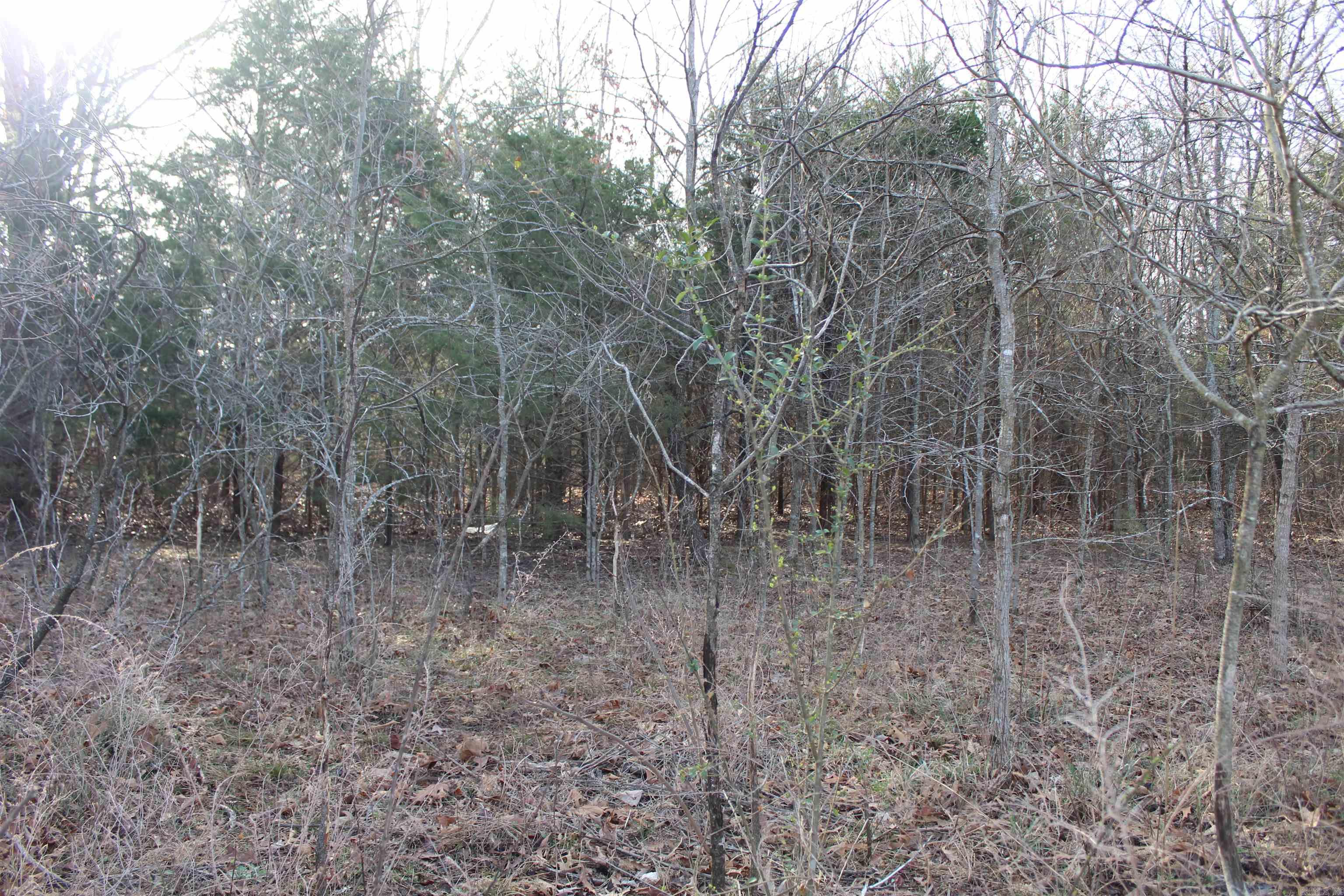 761-00014-000  Falltime  Bull Shoals, AR